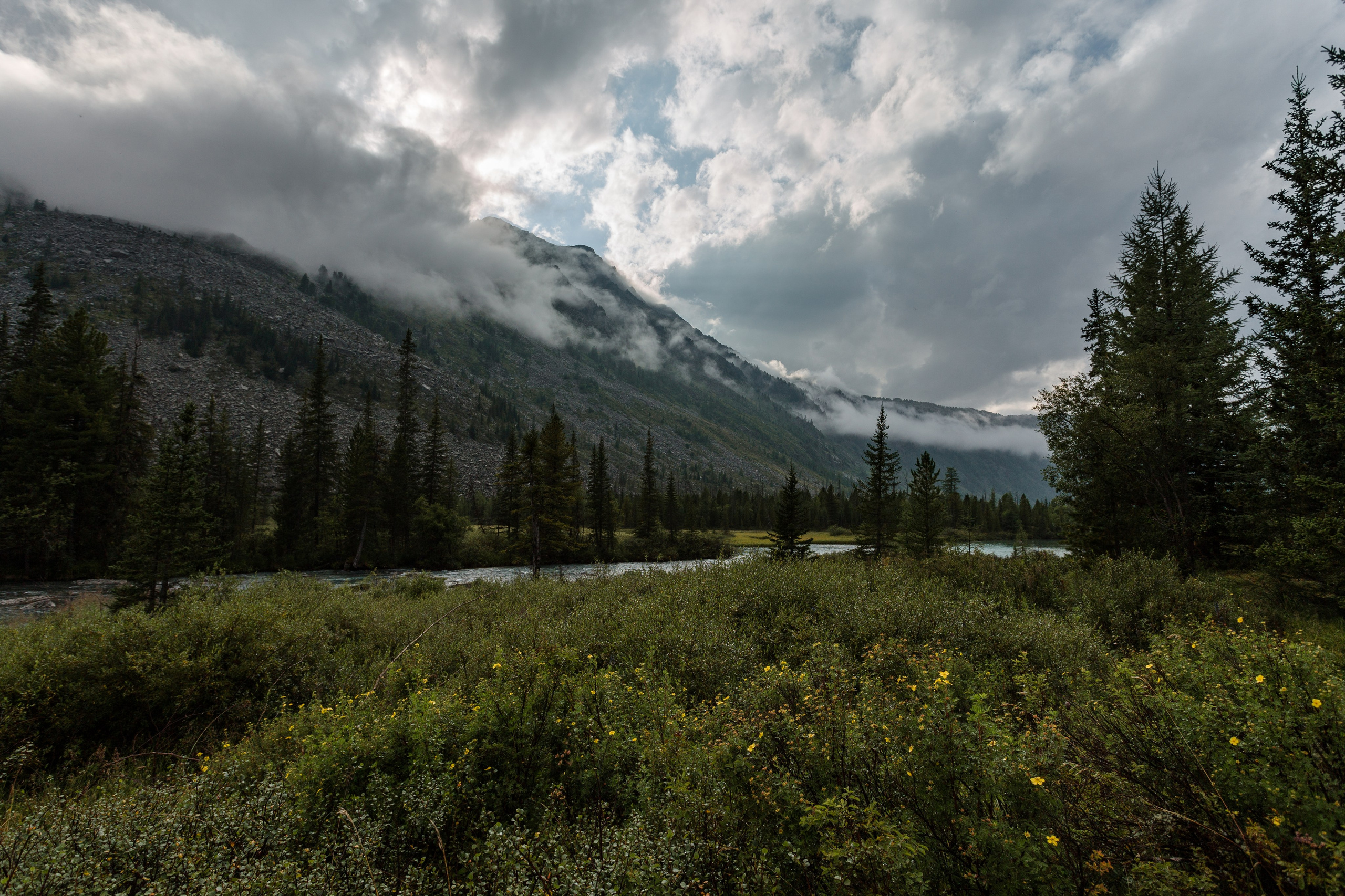 Катунский заповедник, Республика Алтай. Репортажный фотограф в Крыму Ксения Гасица