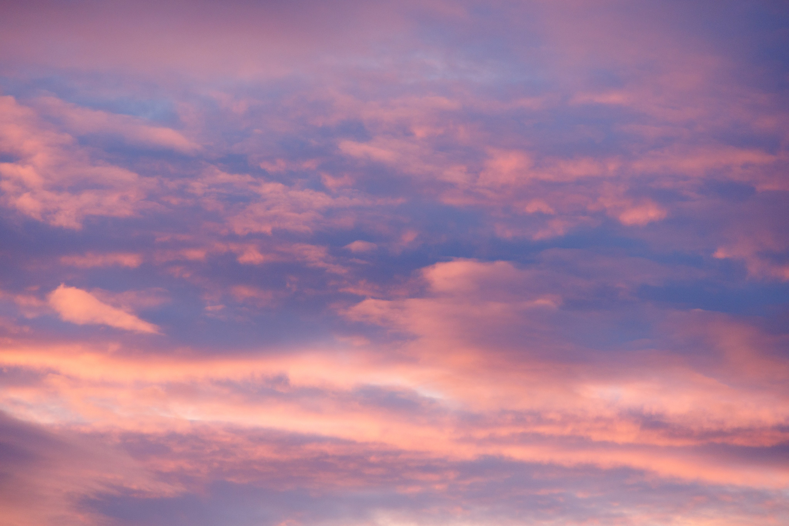 Репортаж. Портретный фотограф Москва | Елена Столиванова