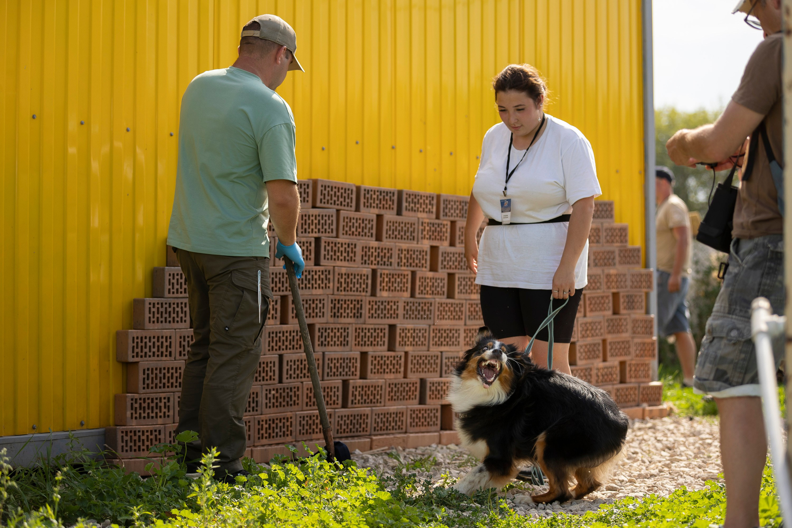 Семинар по поиску ВВ. Фотограф анималист, семейный фотограф, фотограф собак Комратова Мария. г. Москва