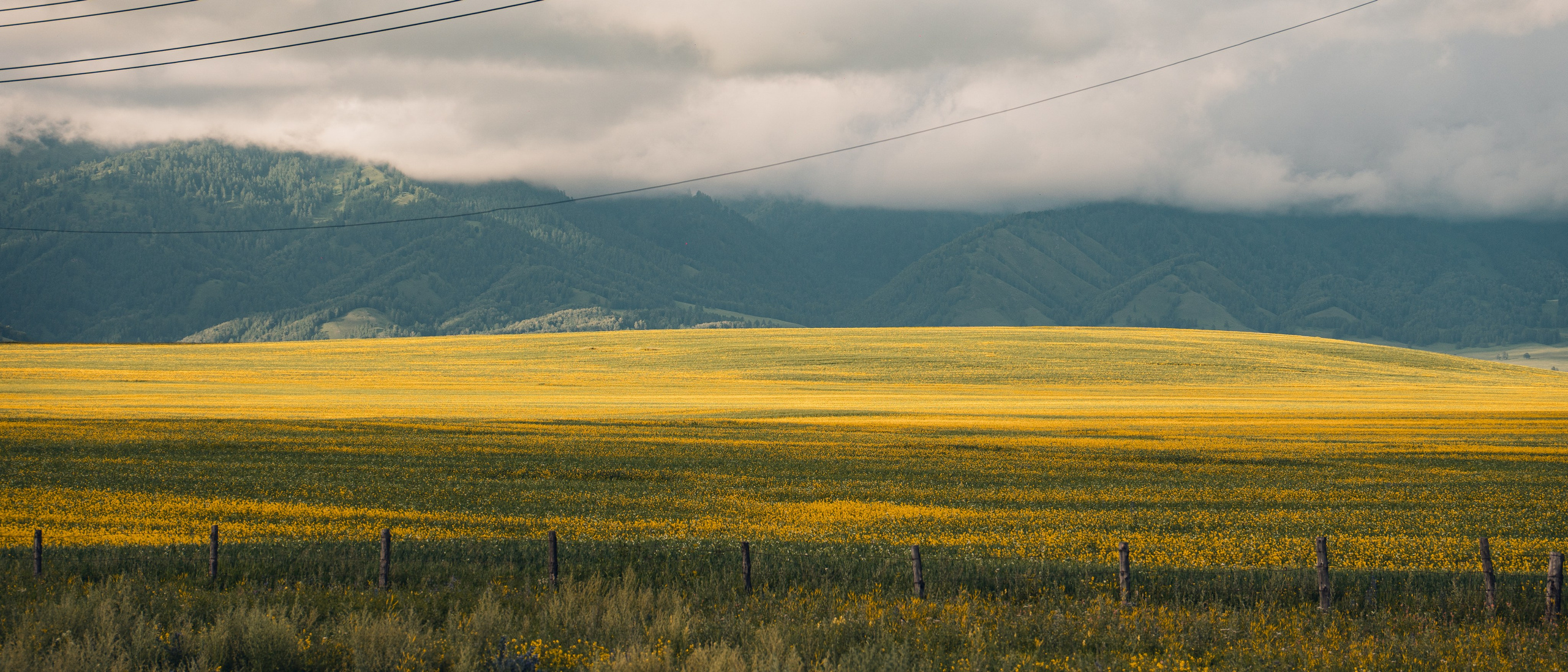 Алтай. Gusarov Travel Photography