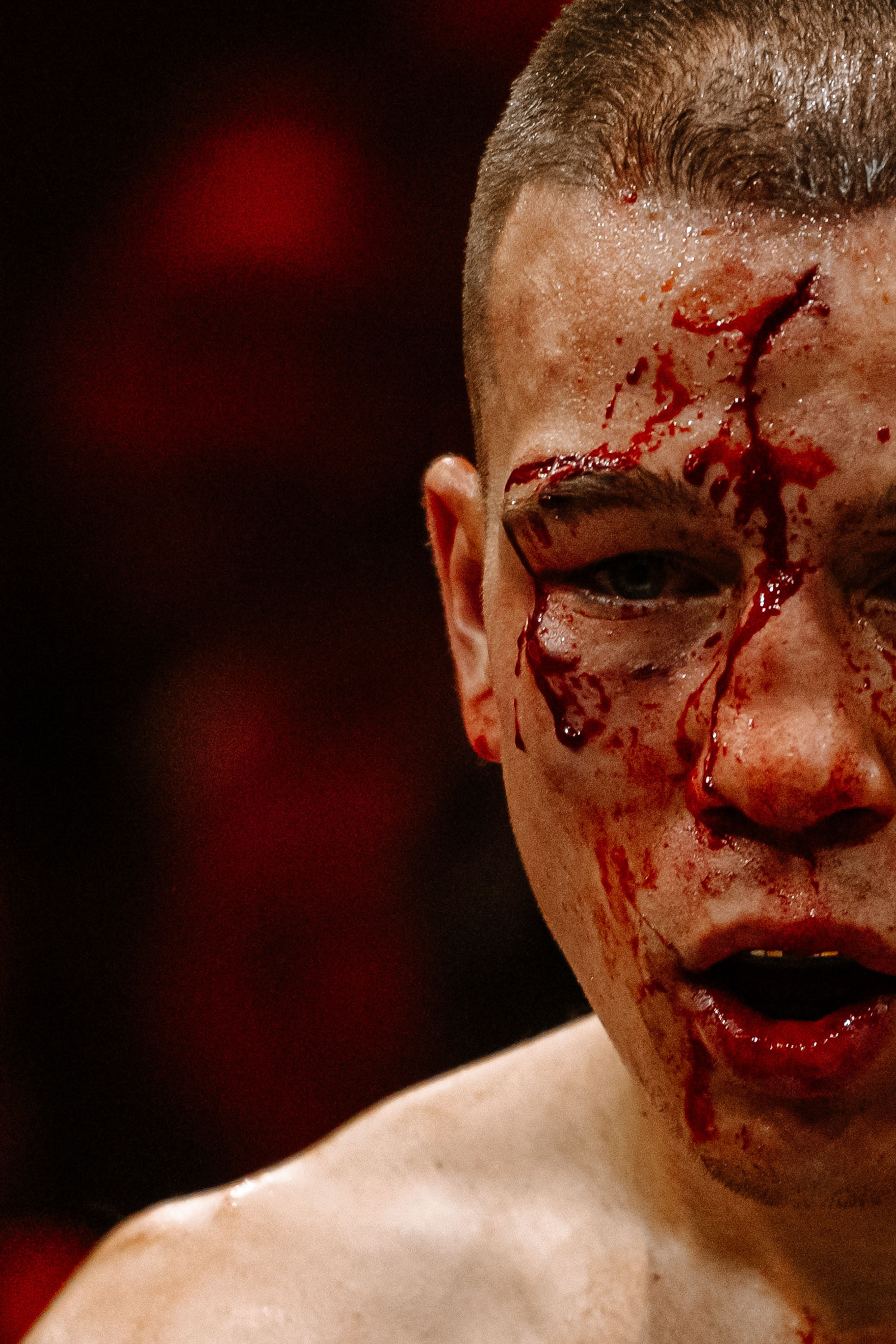 TOP DOG. Максим Комаров — Профессиональный фотограф