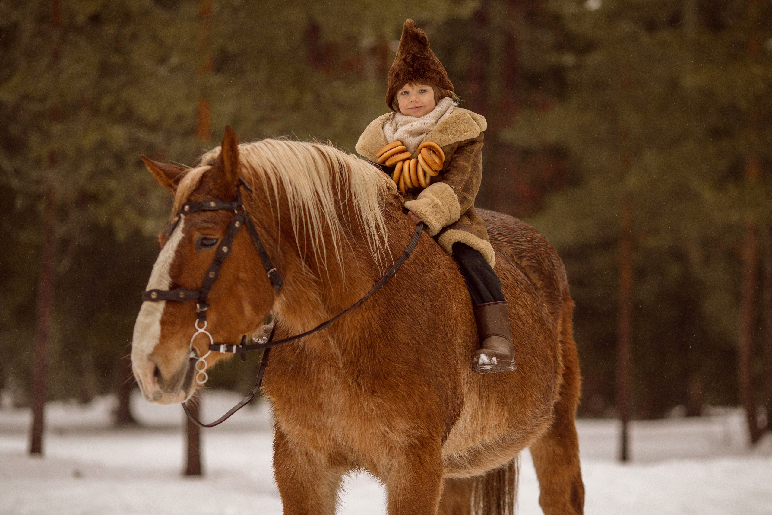 Фото мальчика и лошади зимой