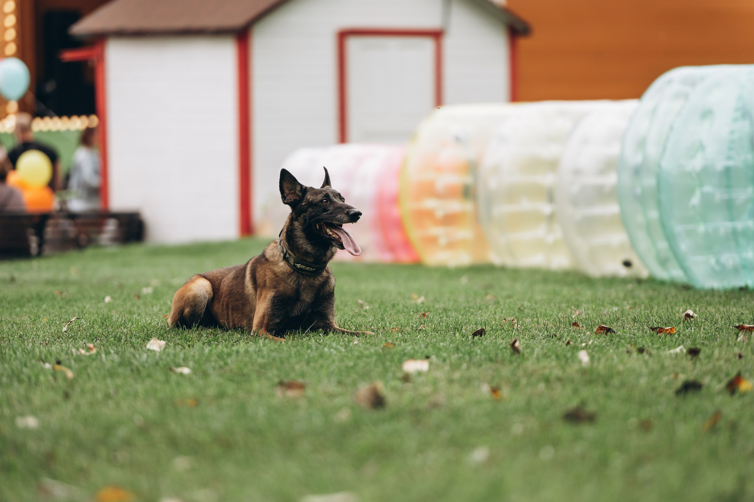 День города 2023. Фотограф Илья Солдаткин