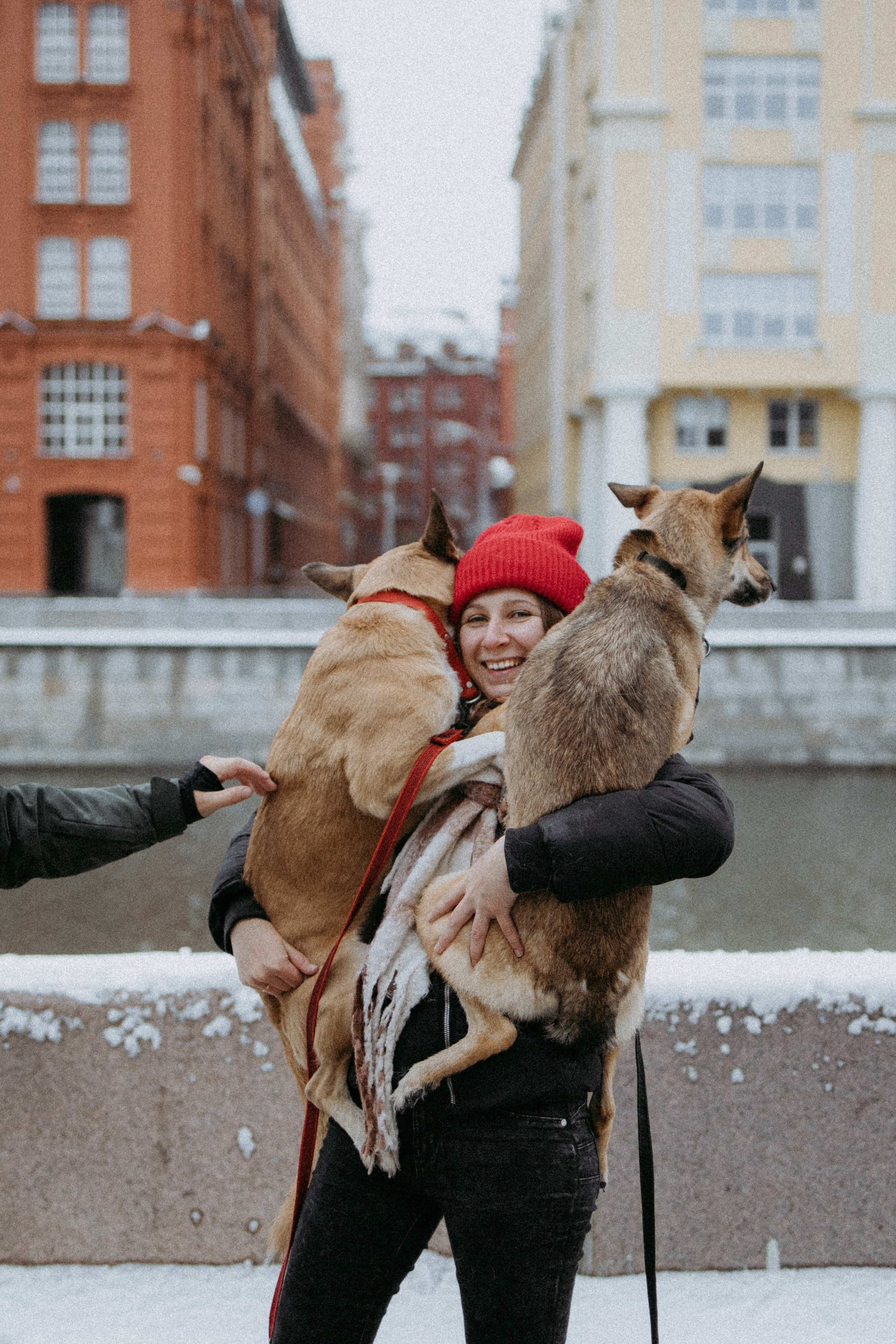 Саша, Ксюша и их банда. Фотораф — анималист Мария Шистка