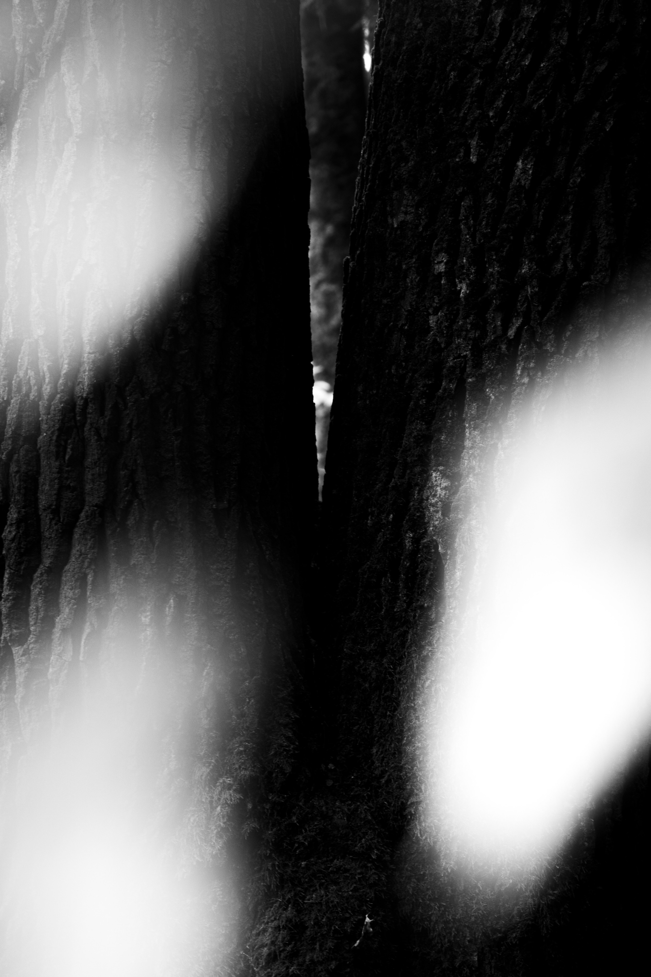 Разное неважное. Фотограф в Москве Алейникова Евгения