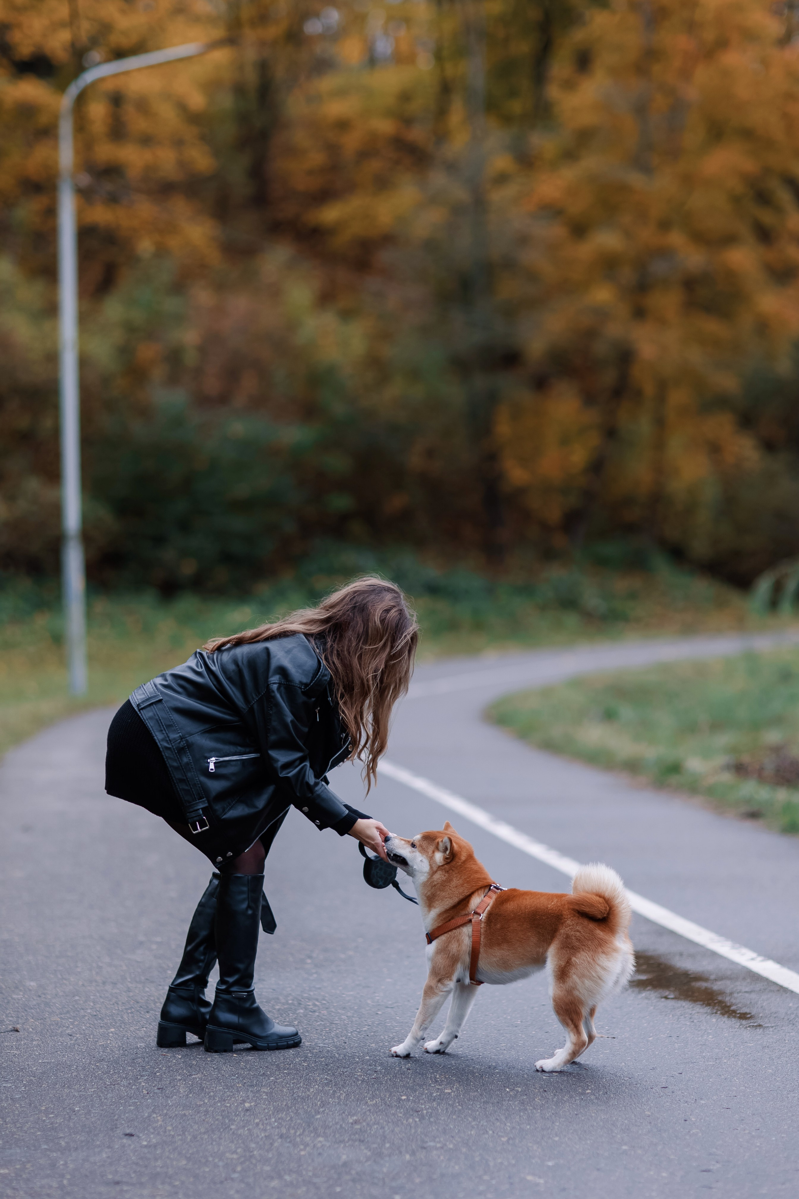 Юлия. Свадебный фотограф