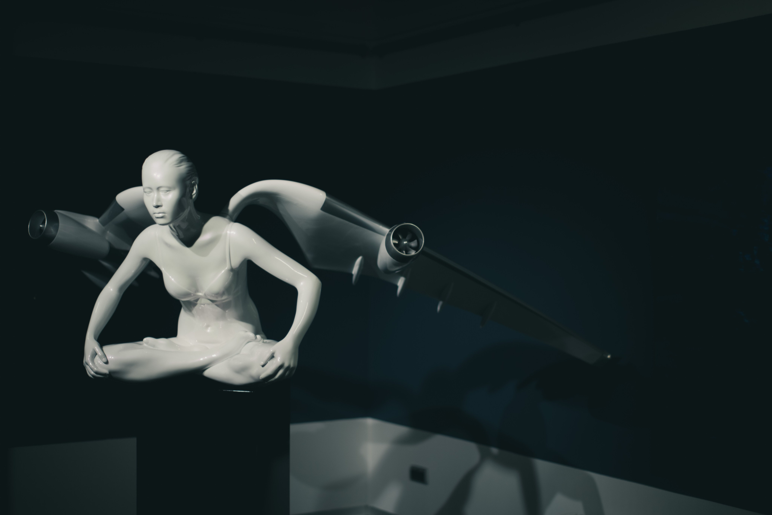 Музей Эрарта, Питер