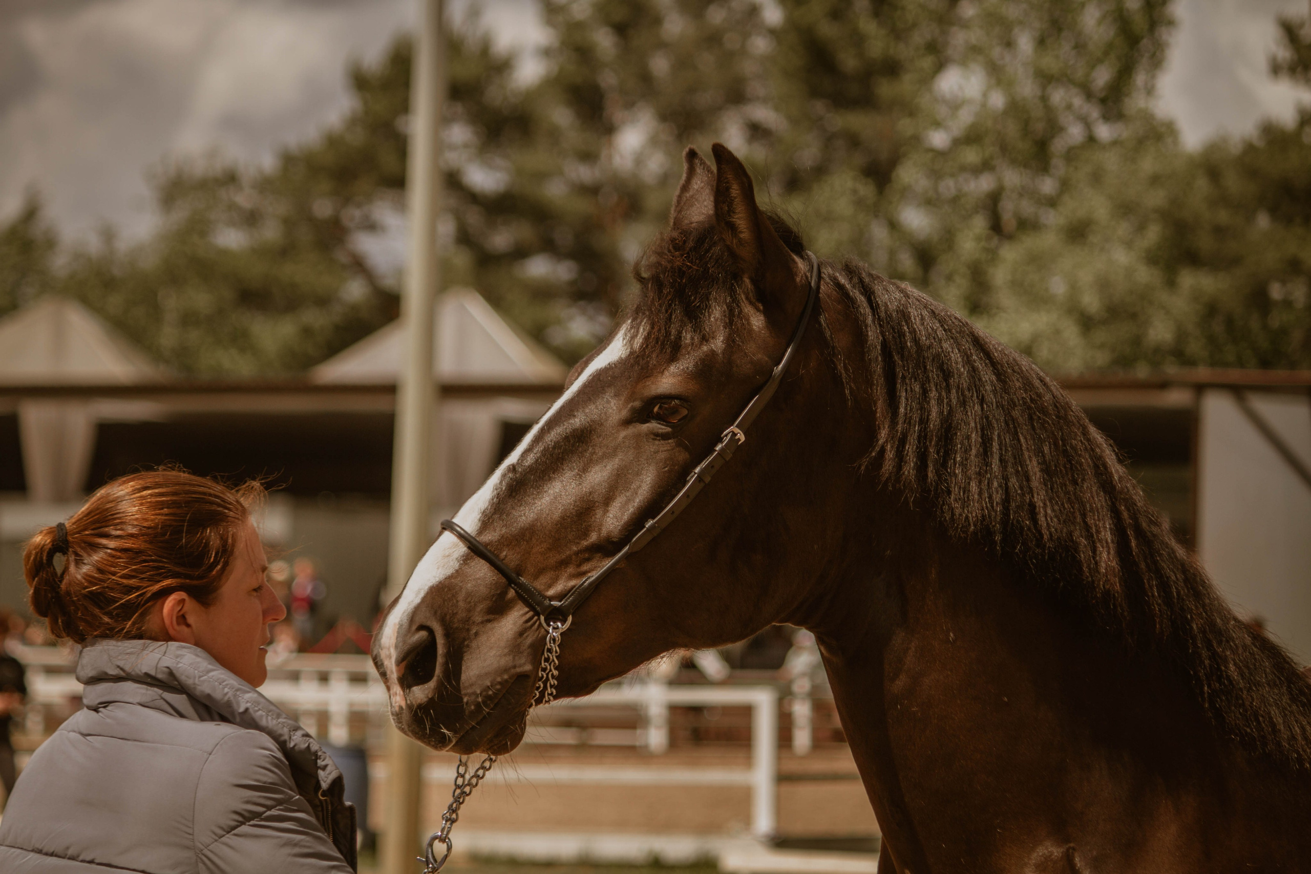 ИППОСФЕРА — Международная конная выставка. Создадим шедевр? Виталина и её фотоискусство