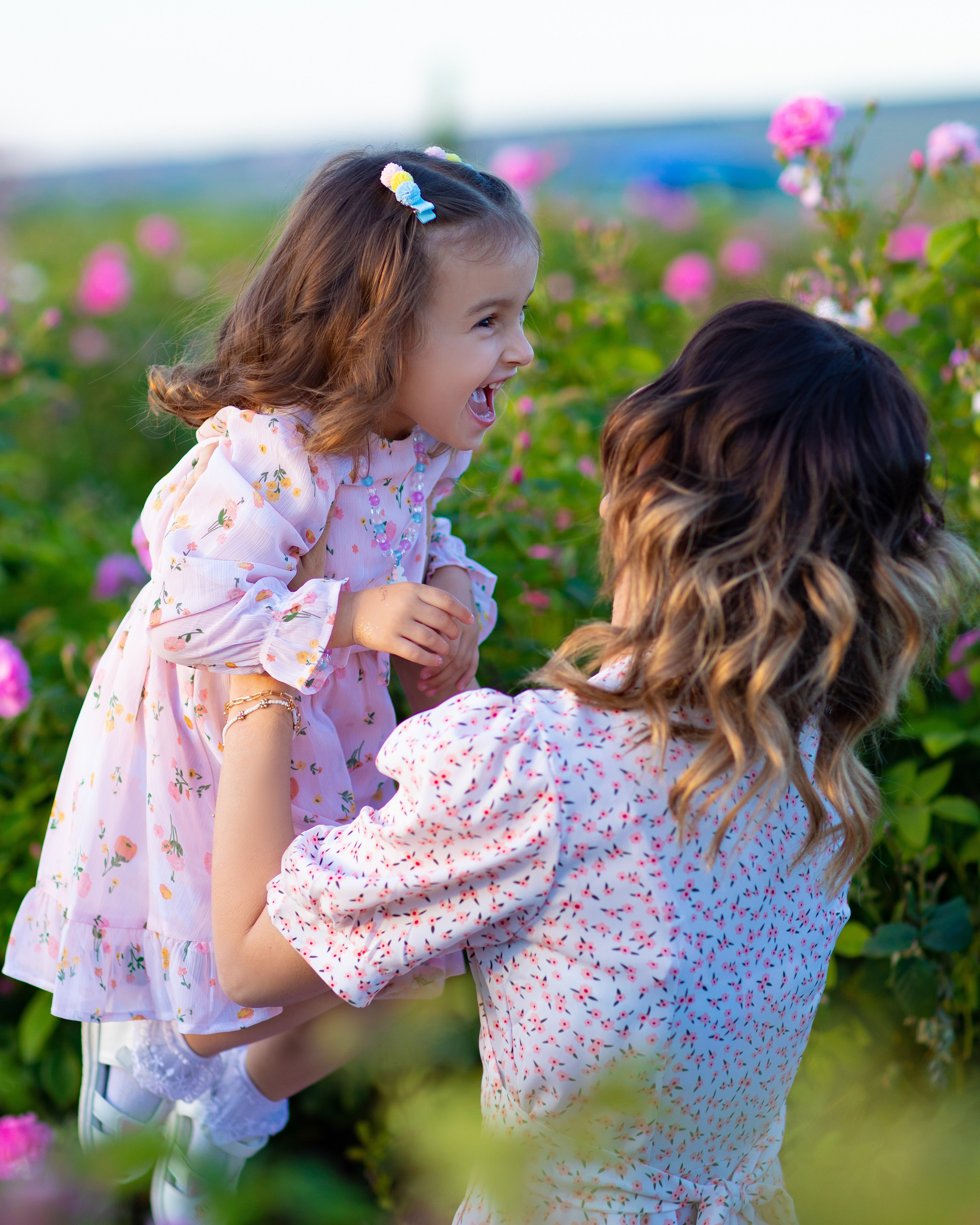 Чайная роза. Фотограф Севастополь/Крым Светлана Евтушенко