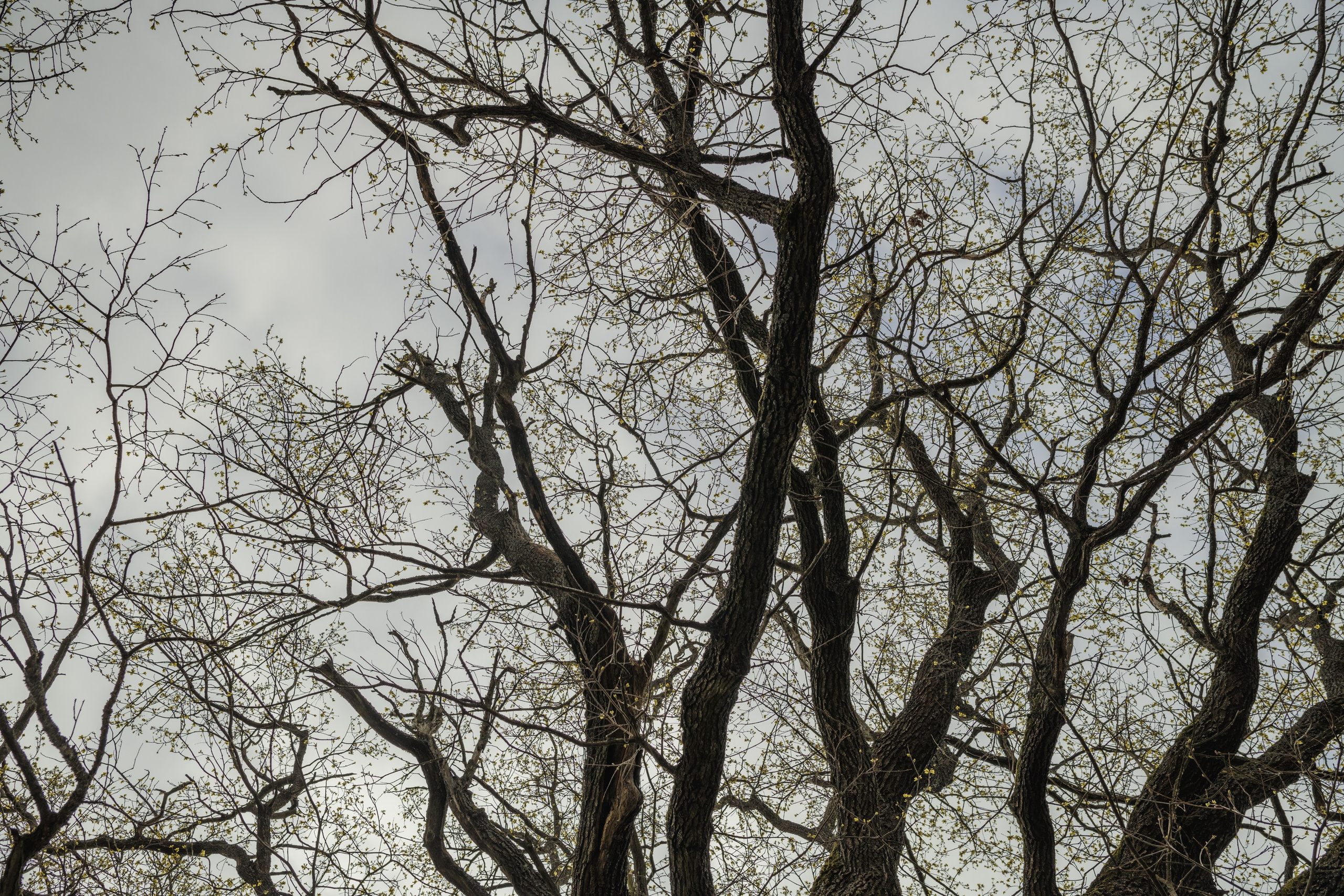 Водный поход 1-й кс по реке Случь. Репортажный фотограф Владимир Беляй