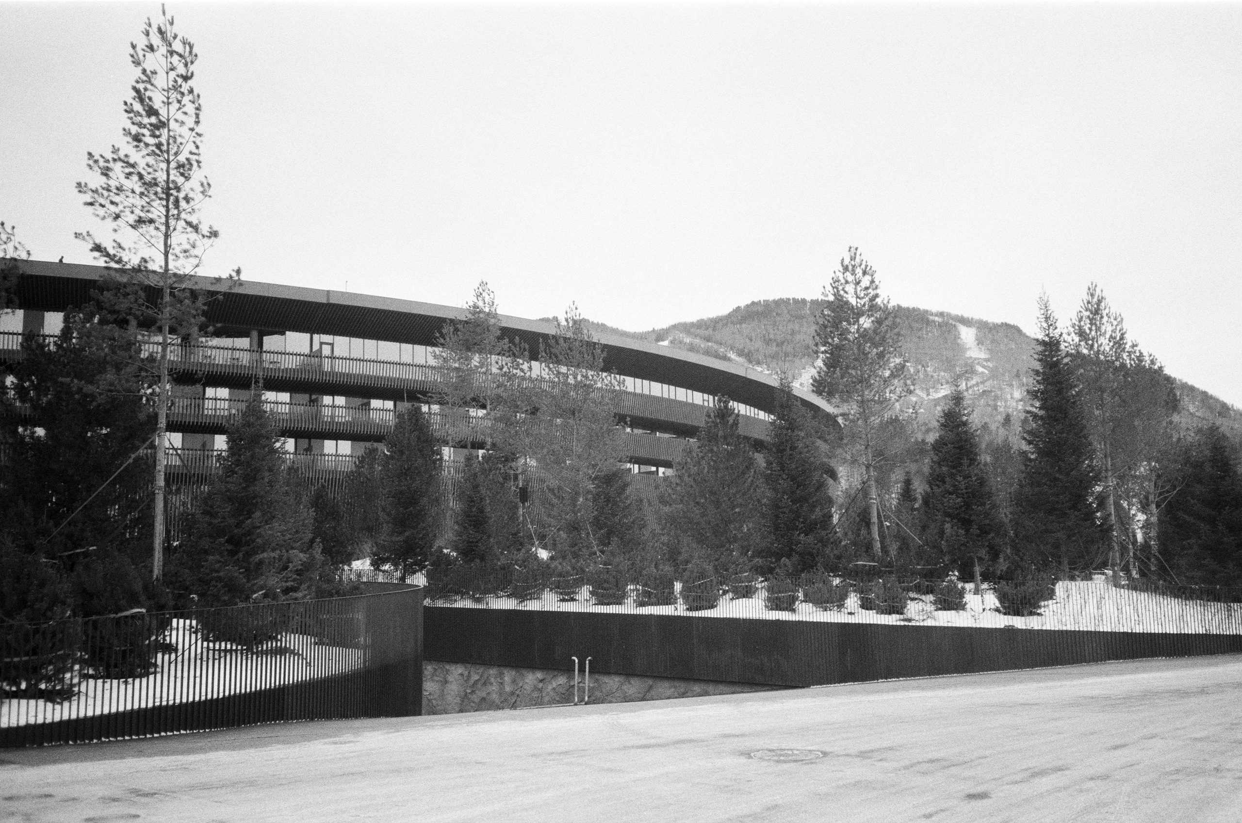 Olympus AF-10 SUPER / Ilford PAN 400 / Алтай, зима 2023 год