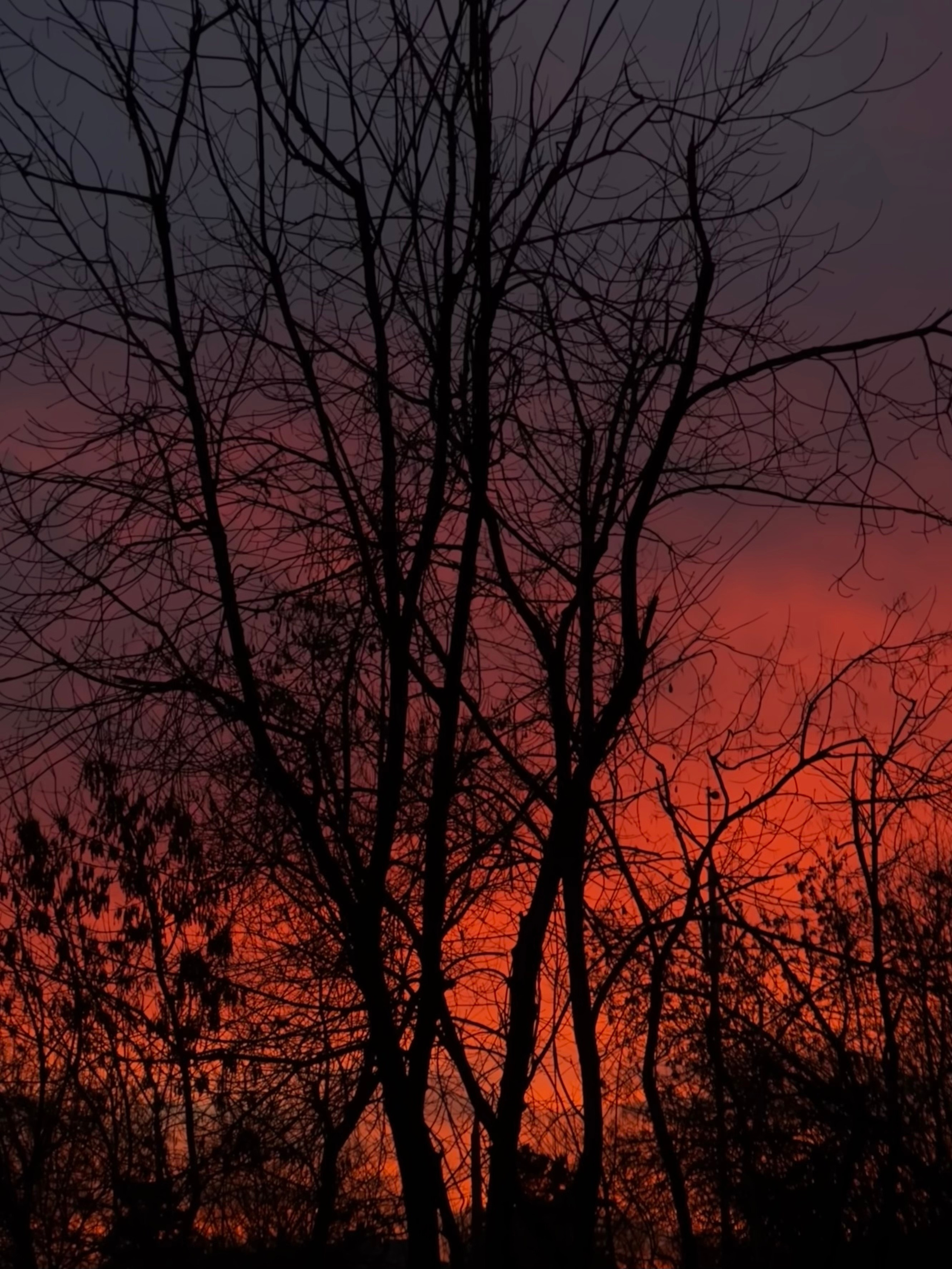 Fragments. Artem Khusainov