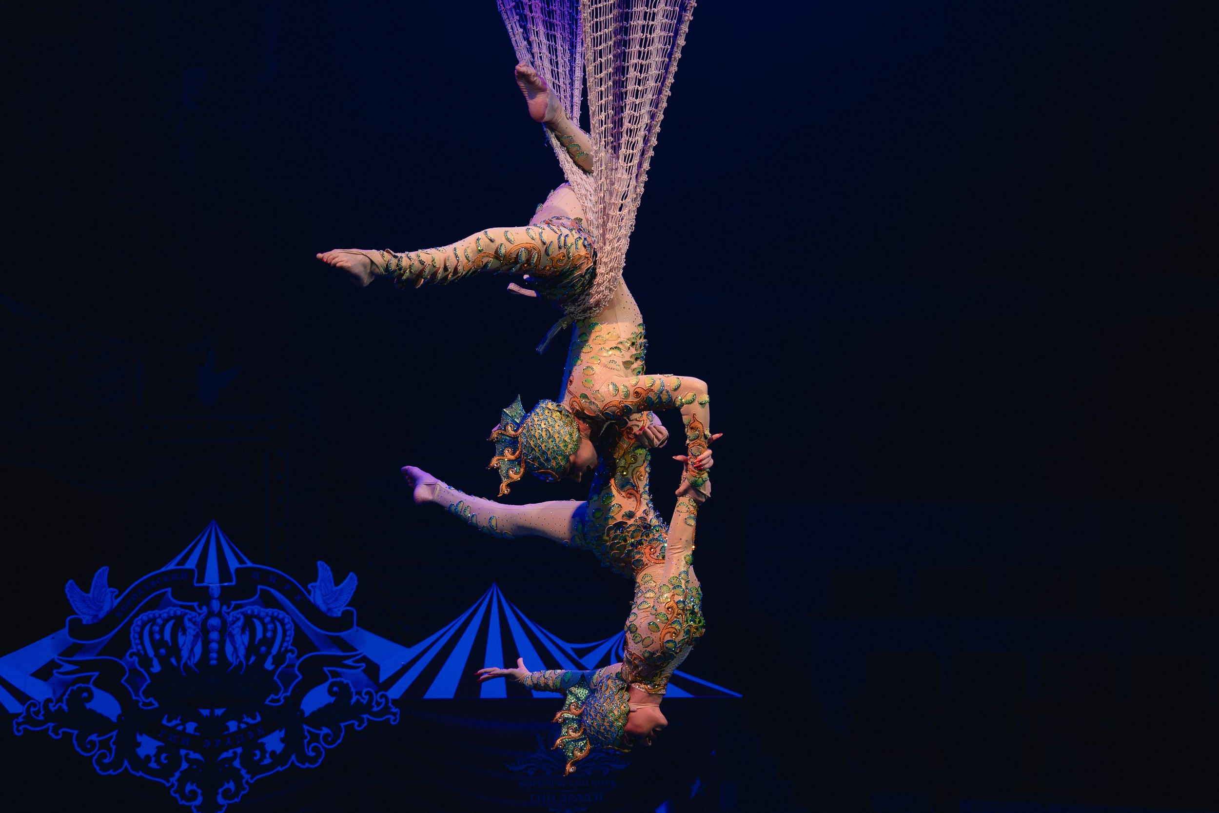 5 Континентов — Пресс-показ в Новосибирском Цирке. Воробьева Ксения — Спортивный и танцевальный фотограф Новосибирск