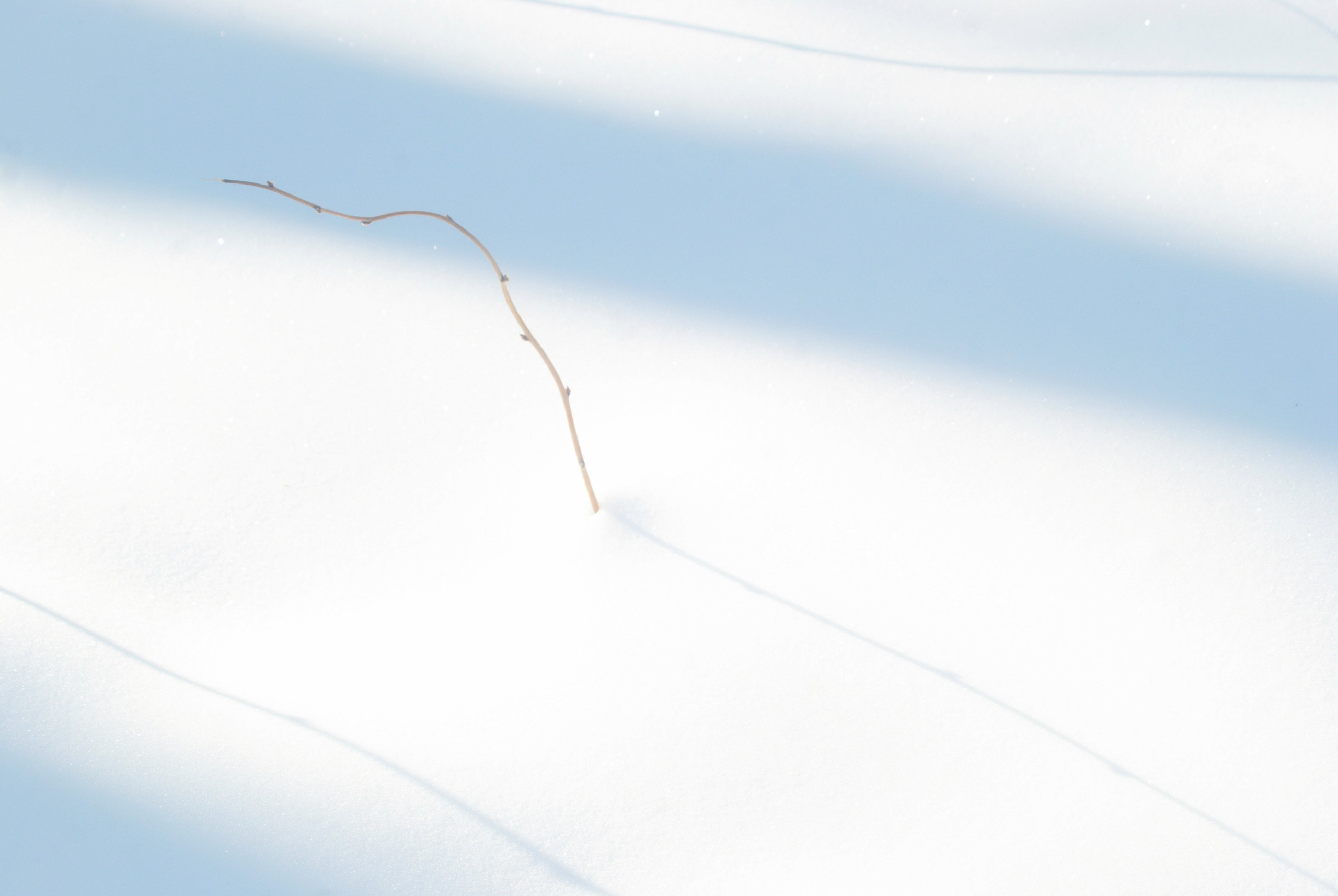 Этот прекрасный мир