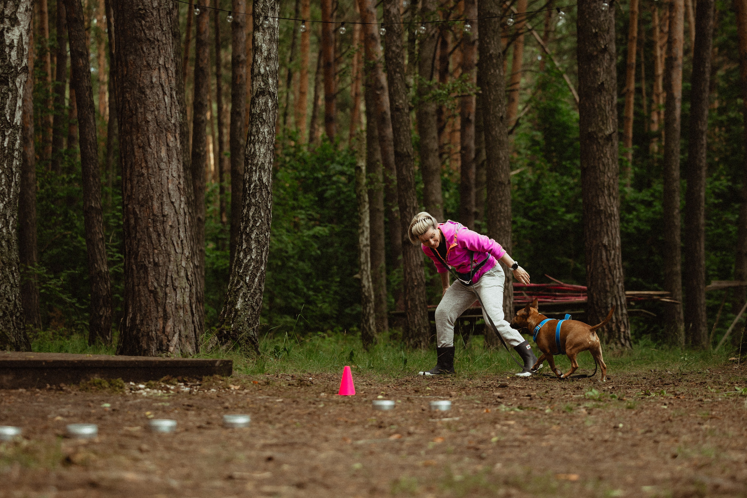 Выездной дог-тренинг от школы «Шерсть имею»