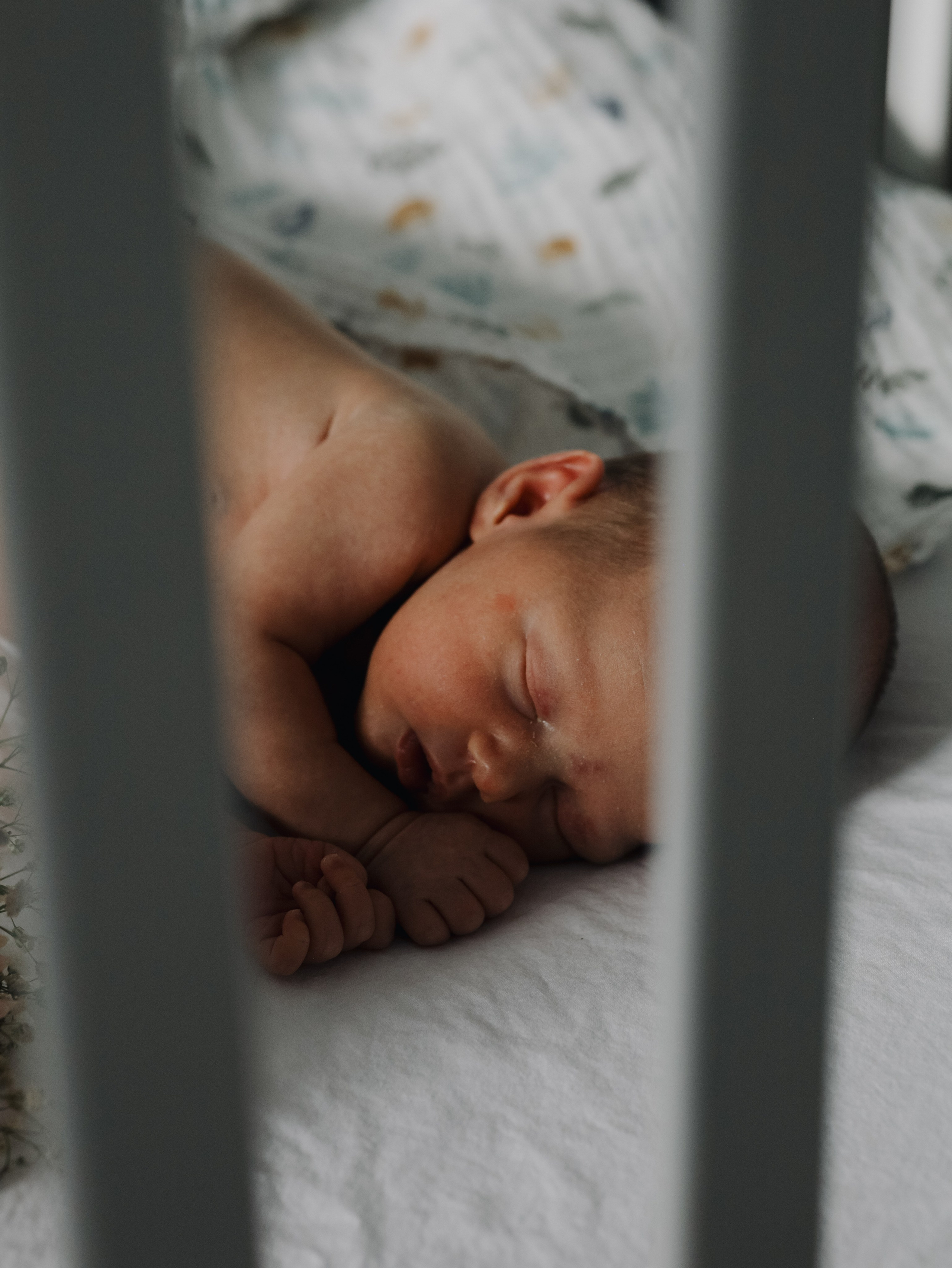 Пополнение. Алёна Стерхова — Предметный и портретный фотограф. Ижевск