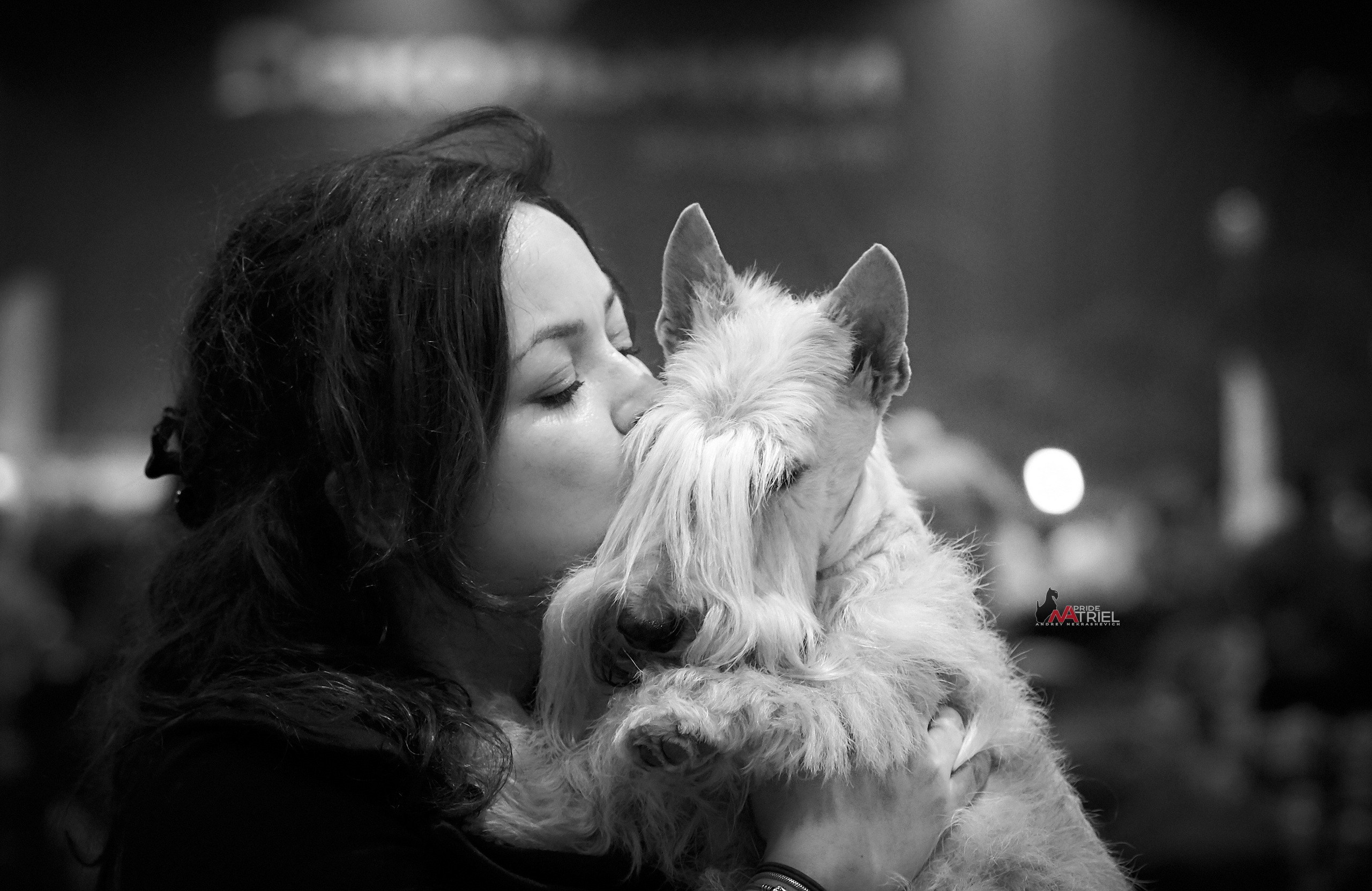 Картинки с выставки — галерея NATRIEL