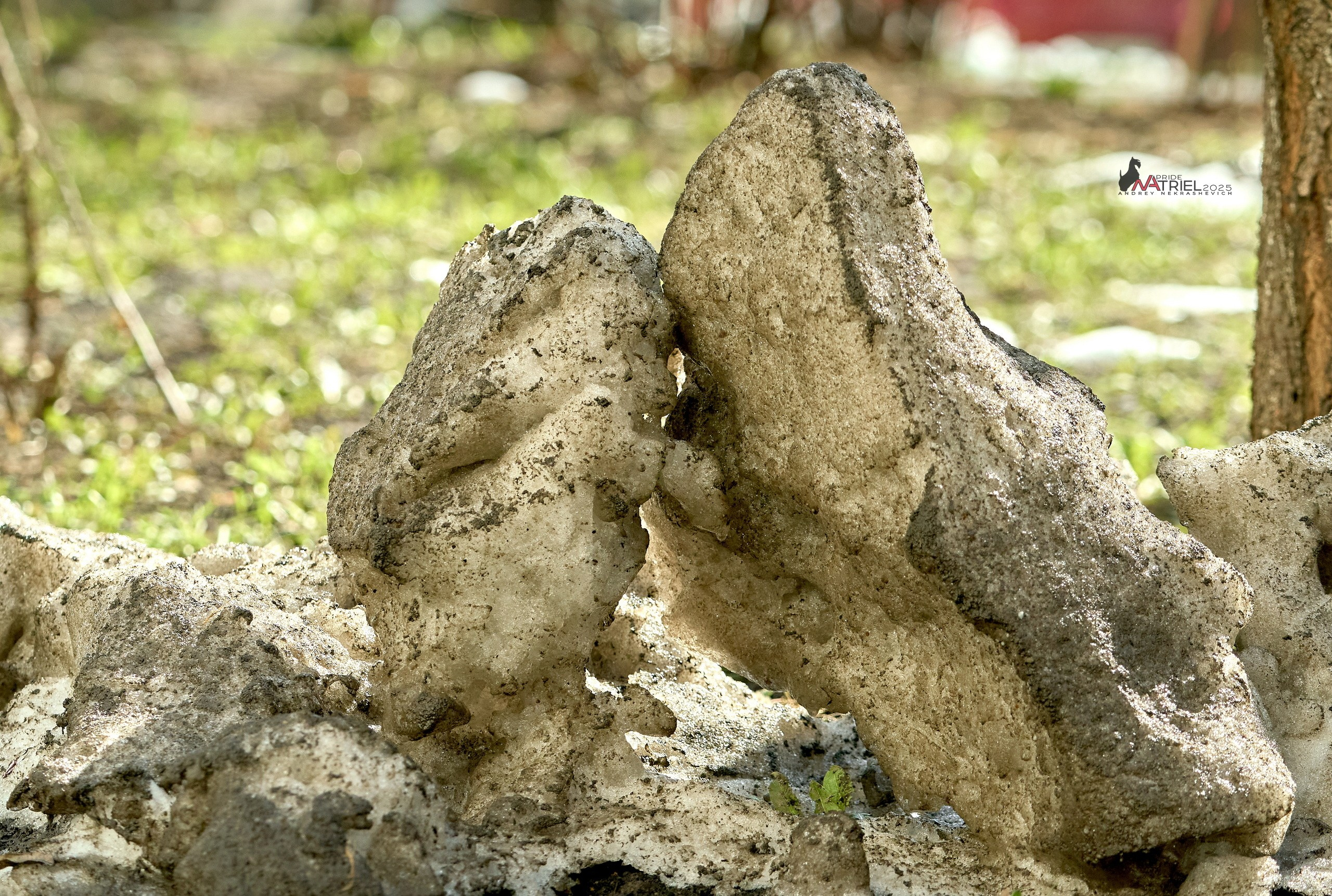 Природа в апреле