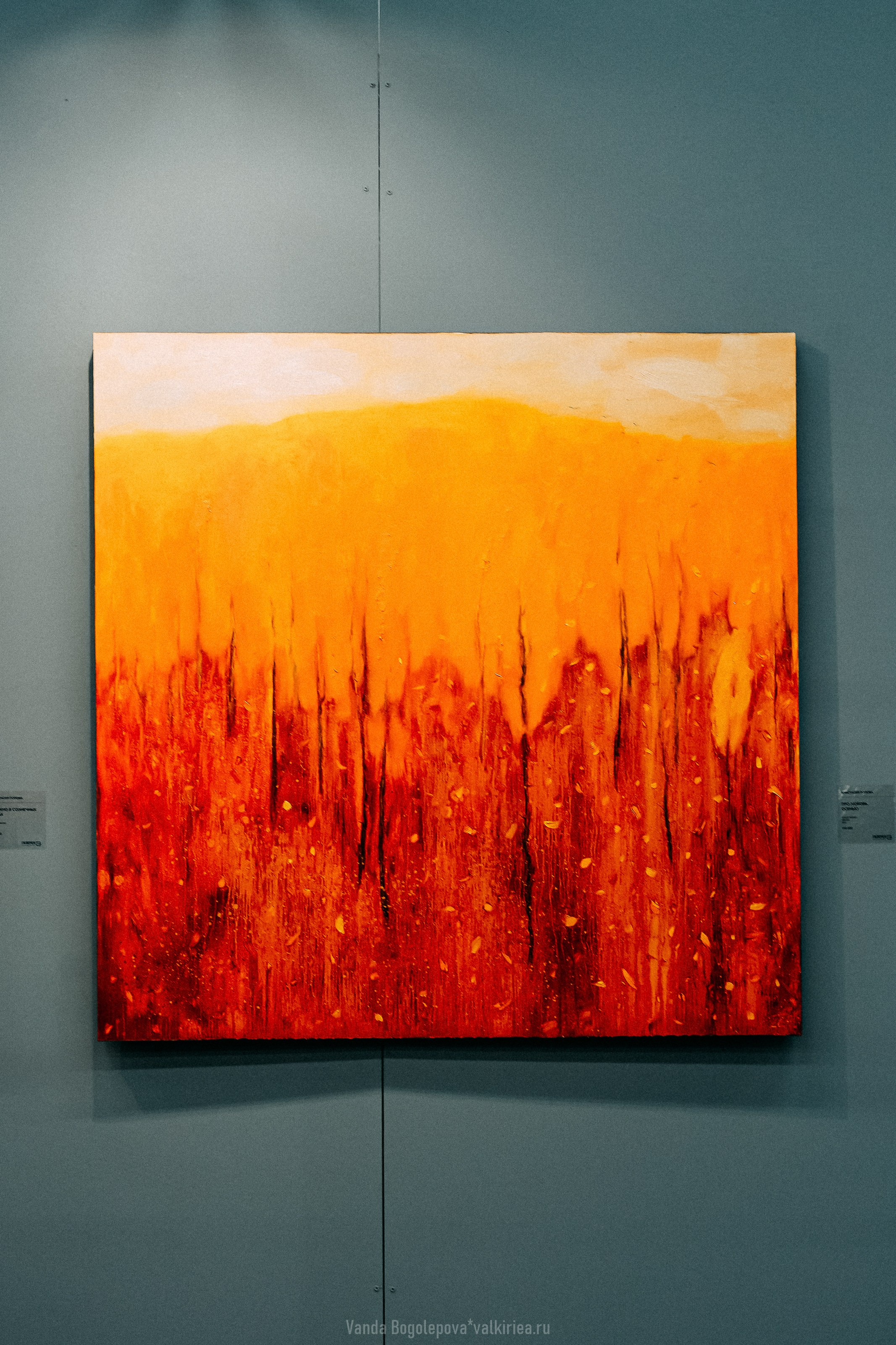 Арт Мир (впечатления). Фотосъемка, свадебная фотосъемка, Москва, Нижний Новгород