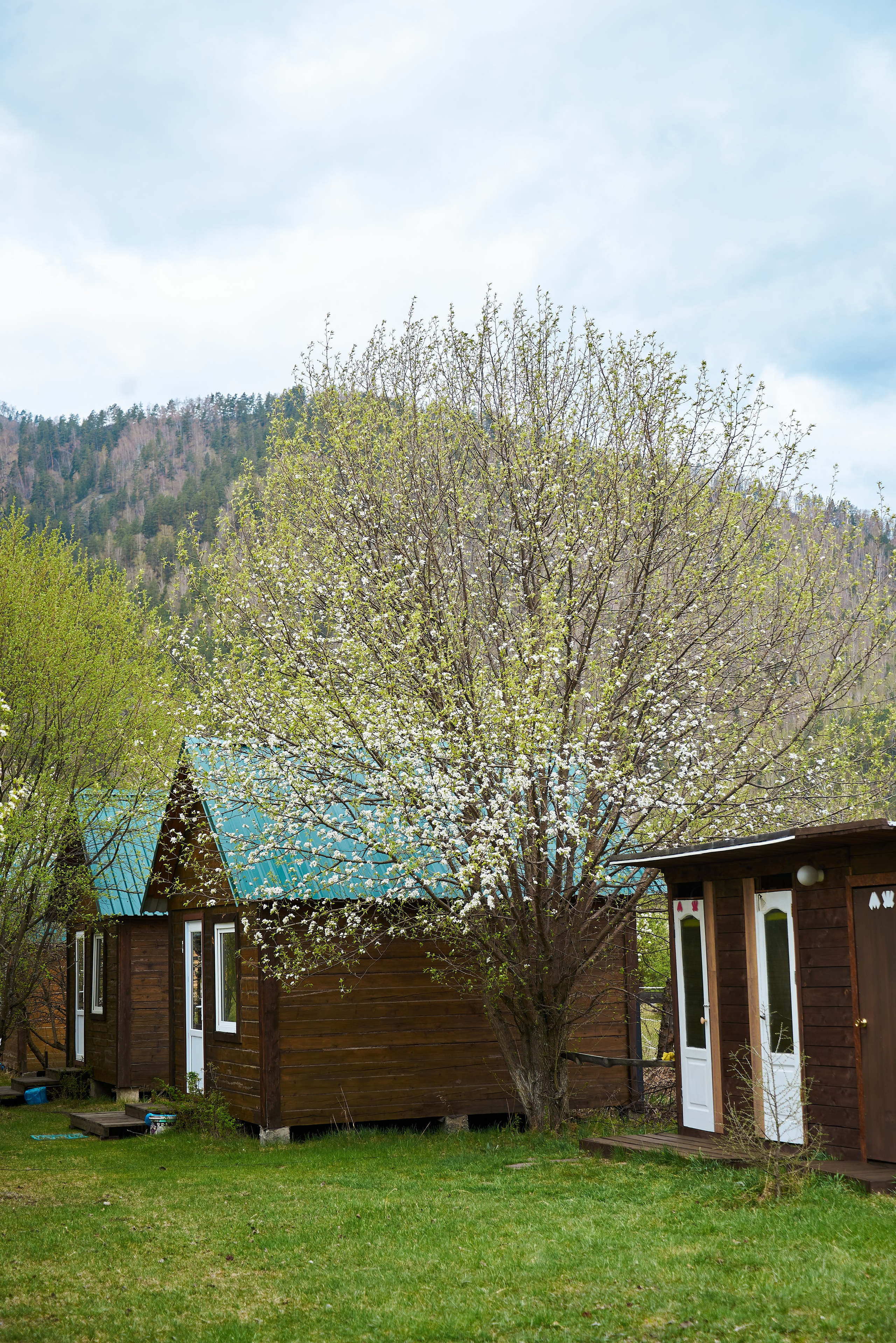 Турбаза АКСАЙ. Семейный фотограф в Барнауле, Горный Алтай, Заринск, Алейск