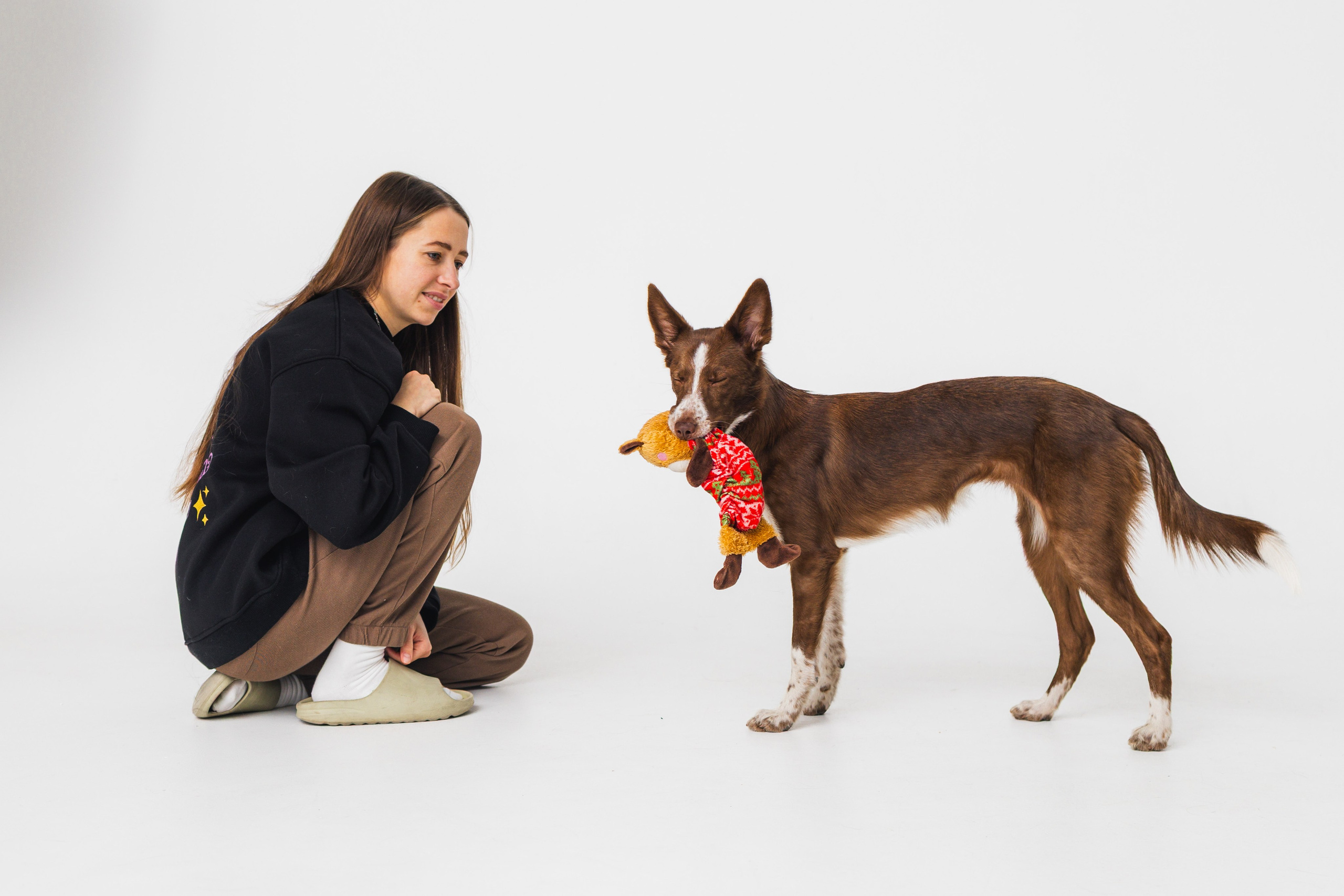 Воркшоп по импульсному свету