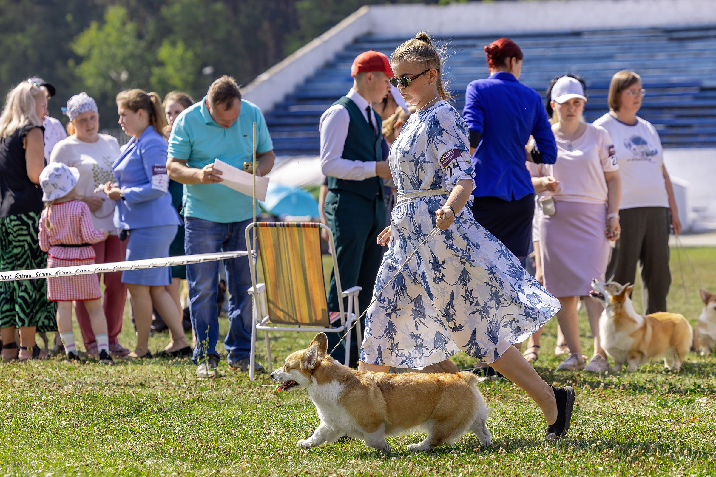 2–3 августа 2025, Выставка РКФ, г. Пермь. Htykk_photo