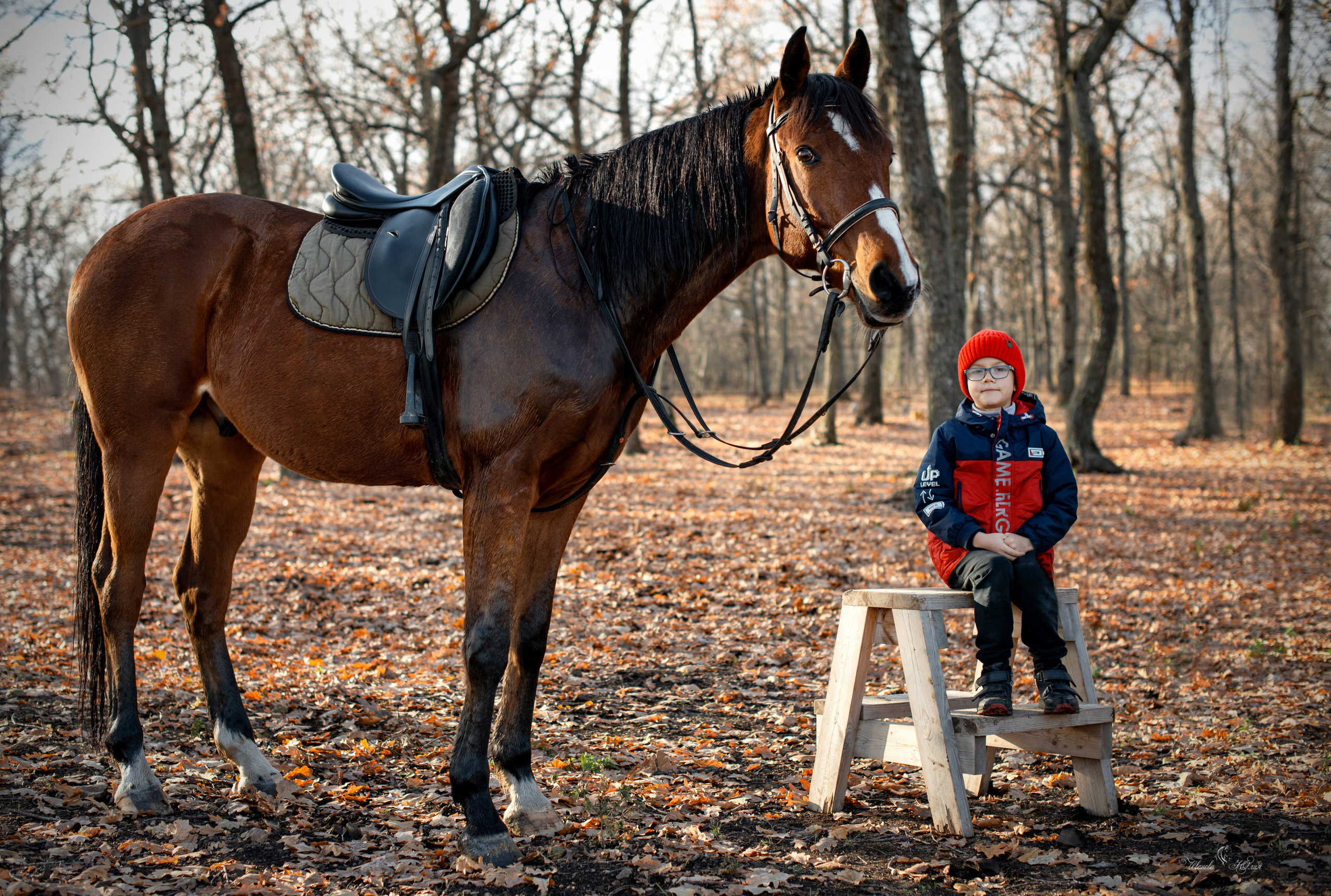 Дети и Ватикан. Конный фотограф в Саратове Юлия Иванова