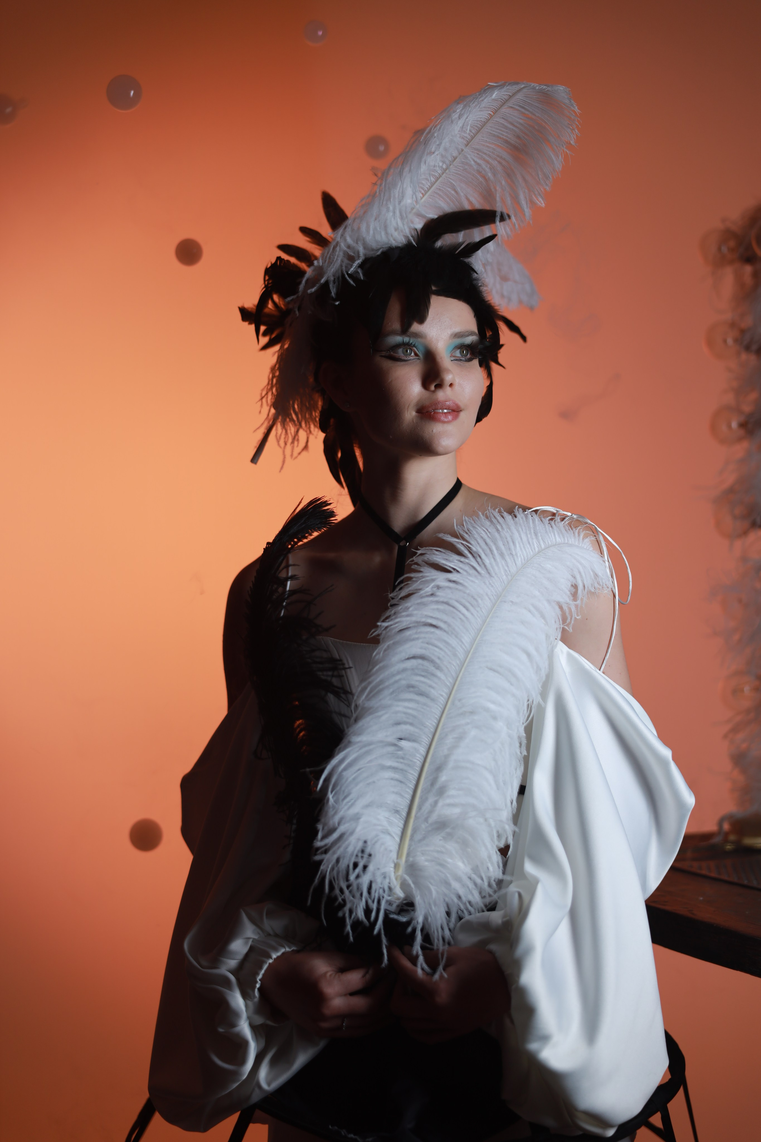 Перья. Съемка в студии под ваш запрос, студийные съемки, фотографии архитектурных объектов — Александр Евстигнеев — фотограф Москва