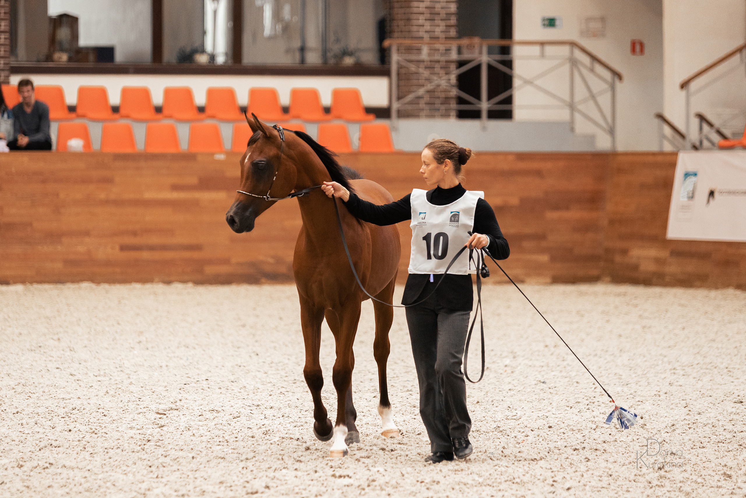 Конная Россия 2021. Конный фотограф Куракина Дарья • Фотосессии с лошадьми
