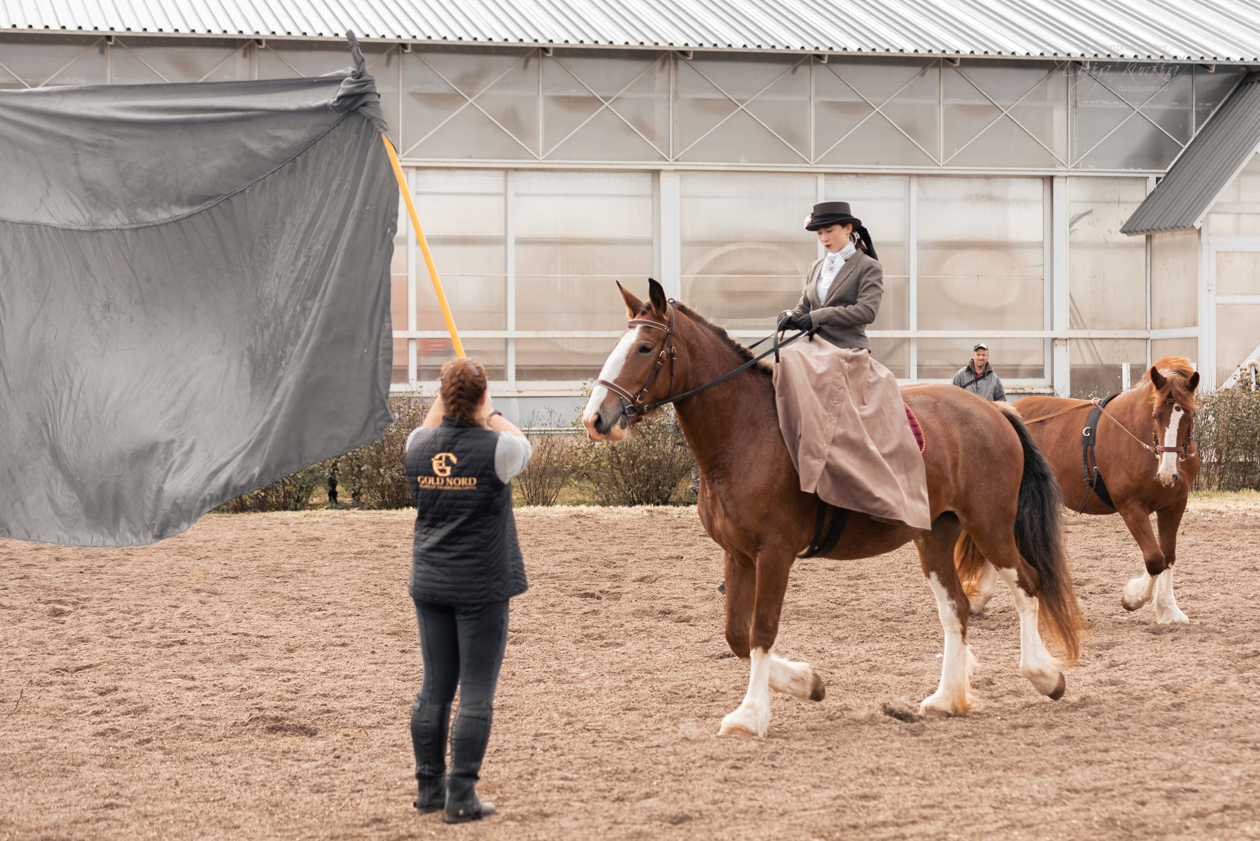 Богдарня. Конный фотограф Куракина Дарья • Фотосессии с лошадьми