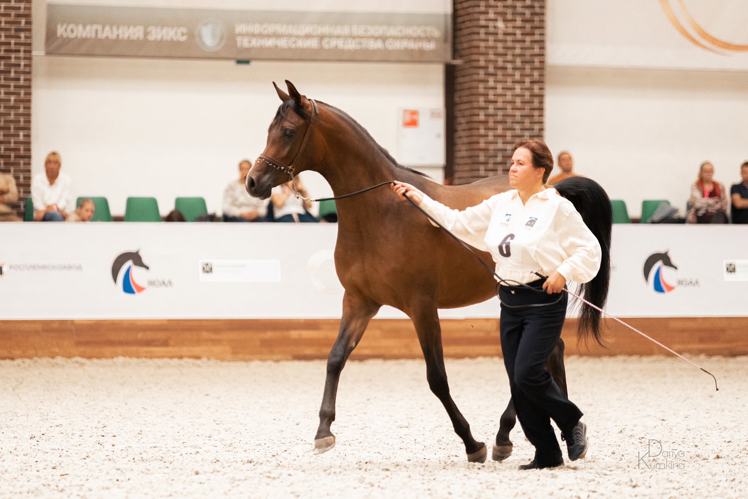 Конная Россия 2021. Конный фотограф Куракина Дарья • Фотосессии с лошадьми