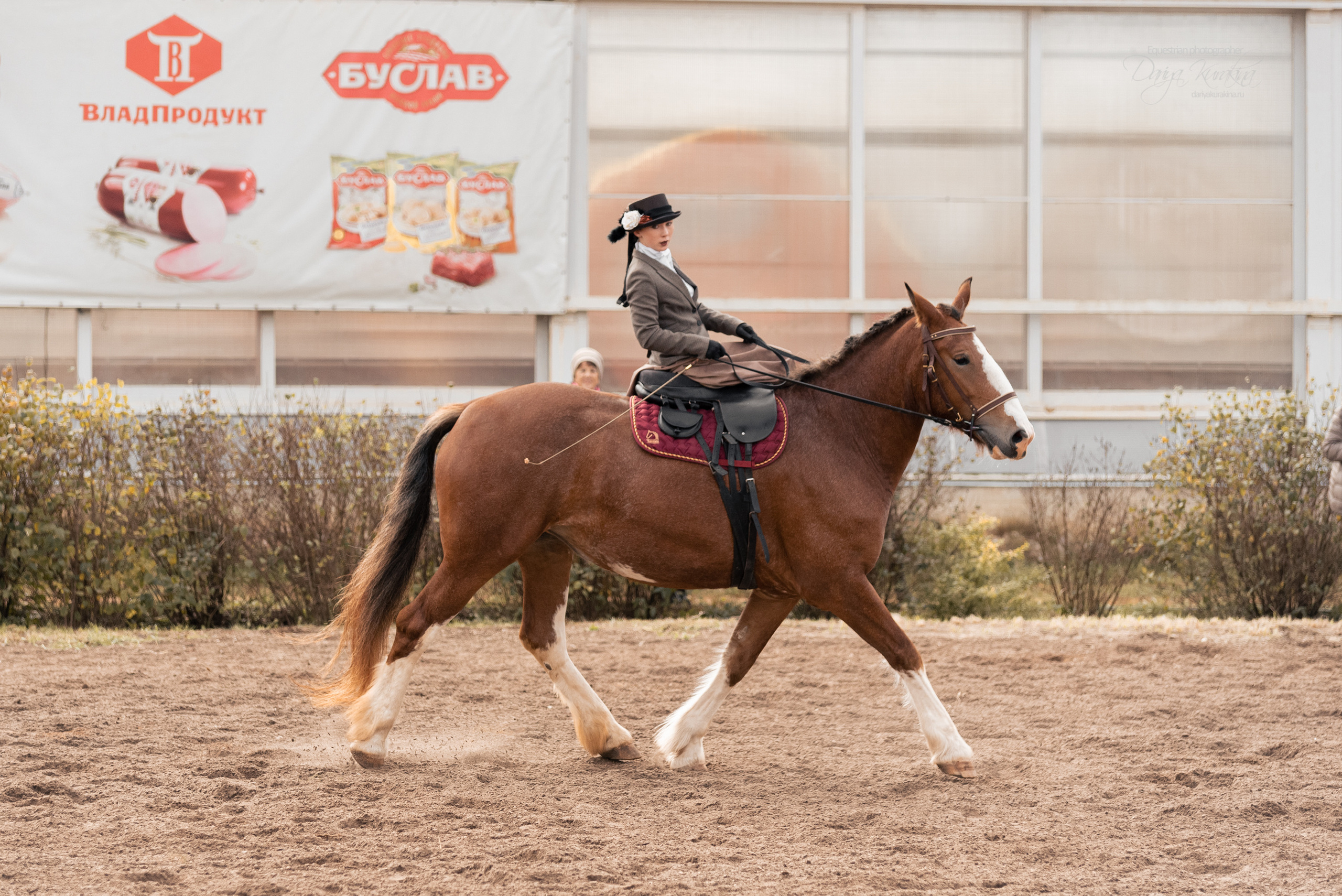 Богдарня. Конный фотограф Куракина Дарья • Фотосессии с лошадьми