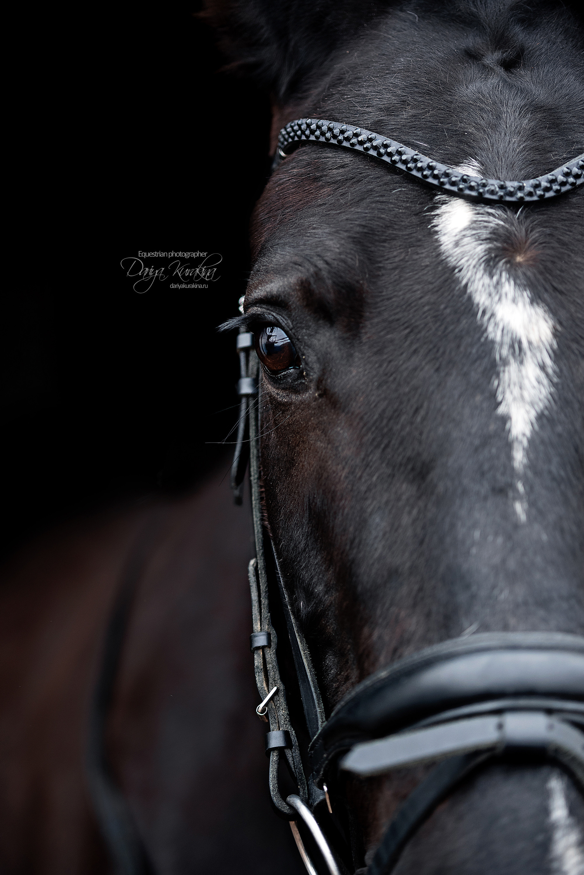 Аня, Полина и Джей Z. Конный фотограф Куракина Дарья • Фотосессии с лошадьми