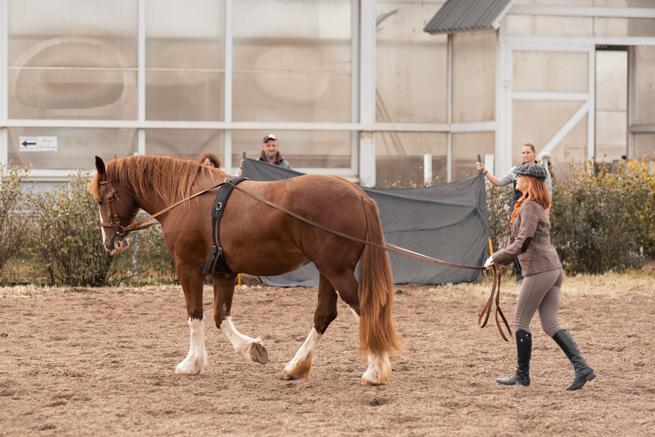 Богдарня. Конный фотограф Куракина Дарья • Фотосессии с лошадьми