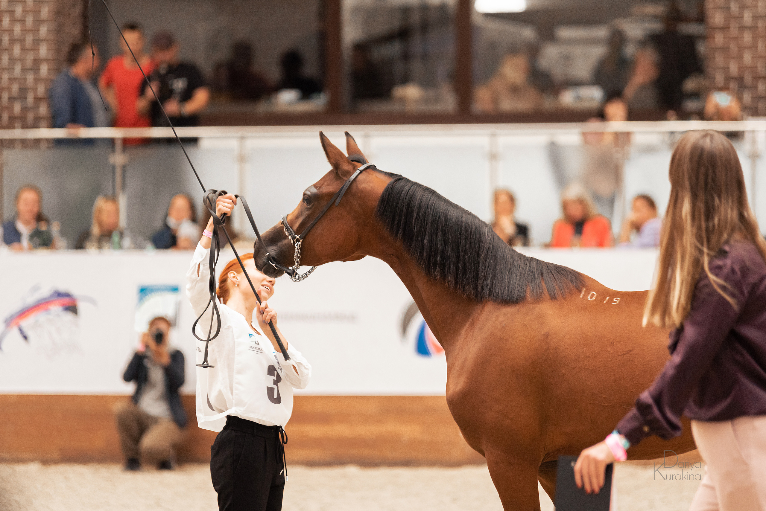 Конная Россия 2021. Конный фотограф Куракина Дарья • Фотосессии с лошадьми