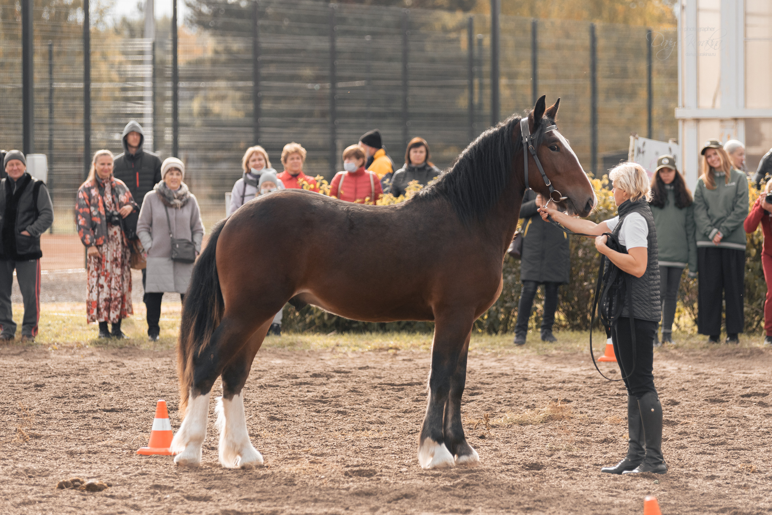 Богдарня. Конный фотограф Куракина Дарья • Фотосессии с лошадьми