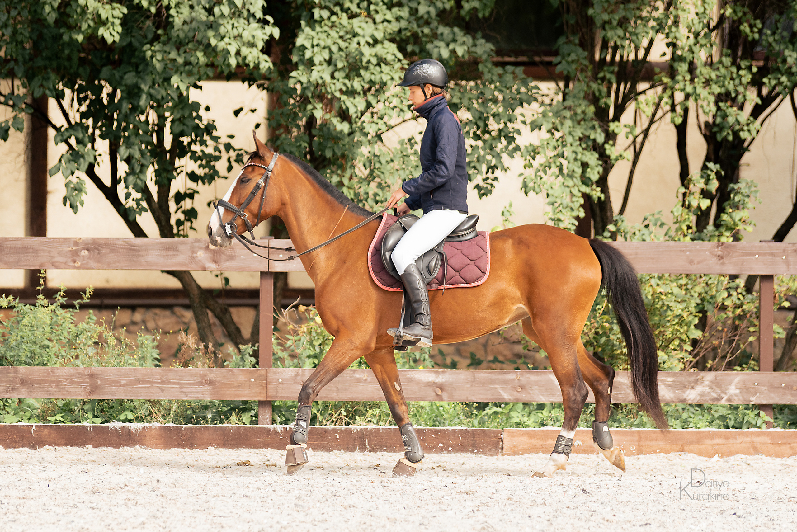 КСК Белая Дача, конкур. Конный фотограф Куракина Дарья • Фотосессии с лошадьми