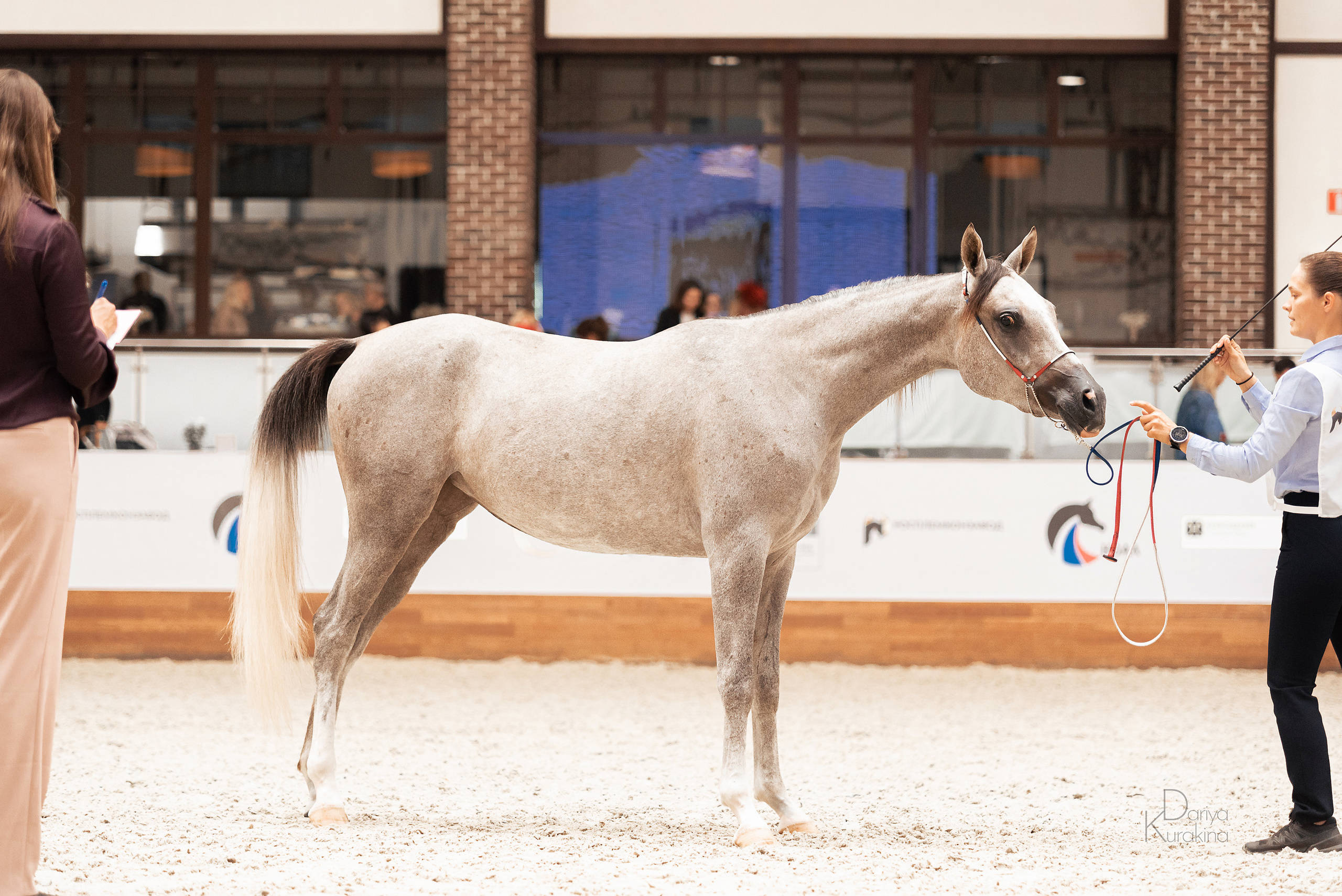 Конная Россия 2021. Конный фотограф Куракина Дарья • Фотосессии с лошадьми