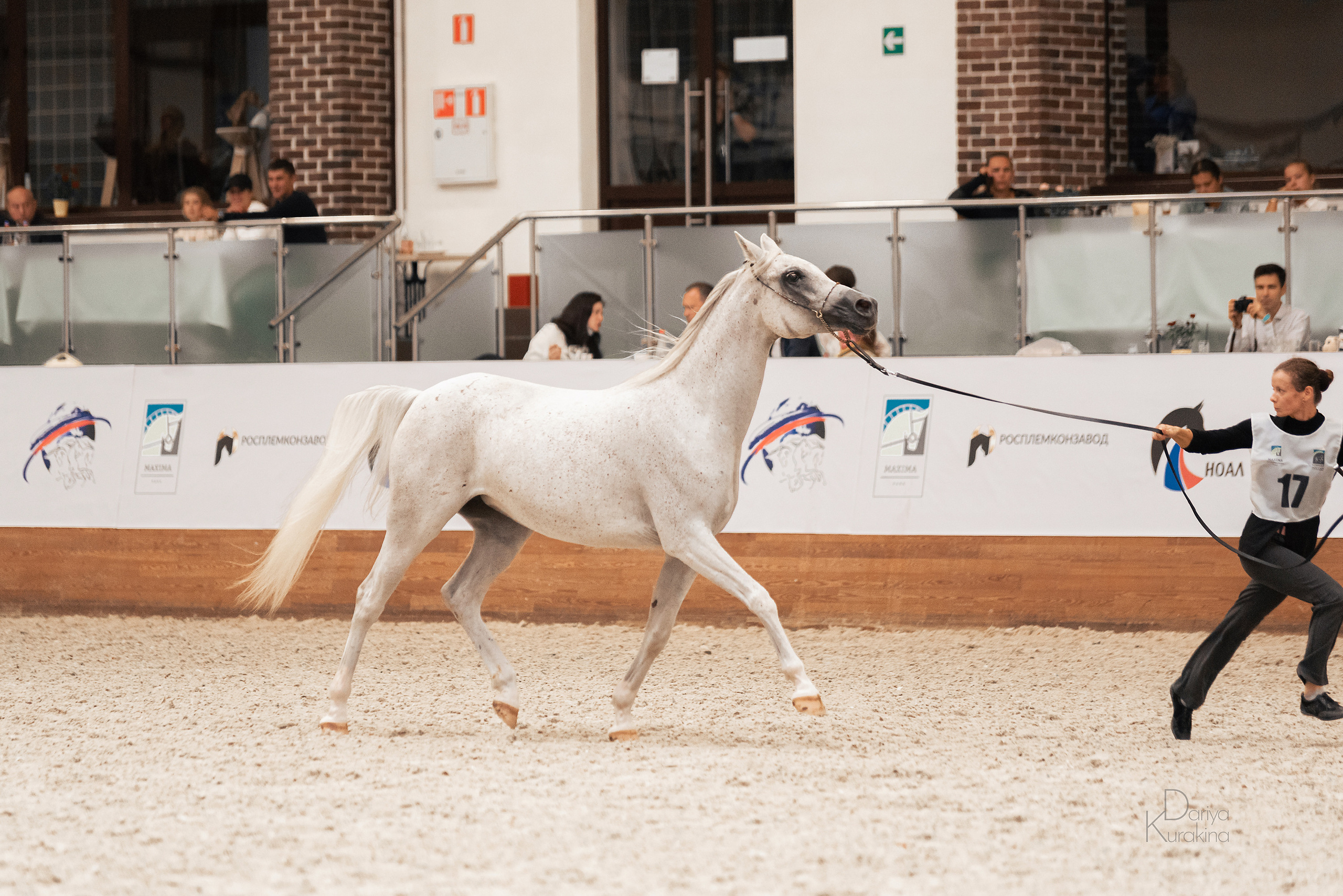 Конная Россия 2021. Конный фотограф Куракина Дарья • Фотосессии с лошадьми