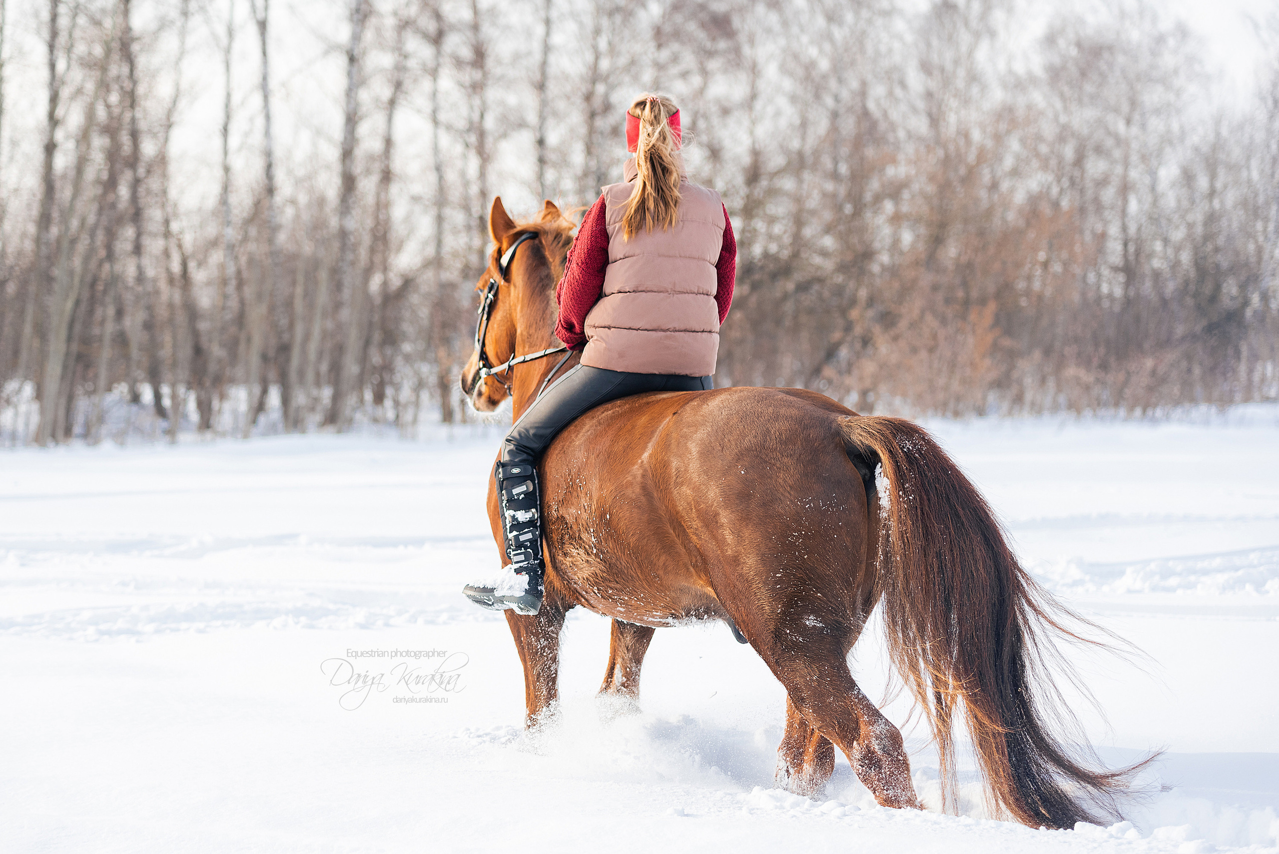 Лиза и Ригард. Конный фотограф Куракина Дарья • Фотосессии с лошадьми