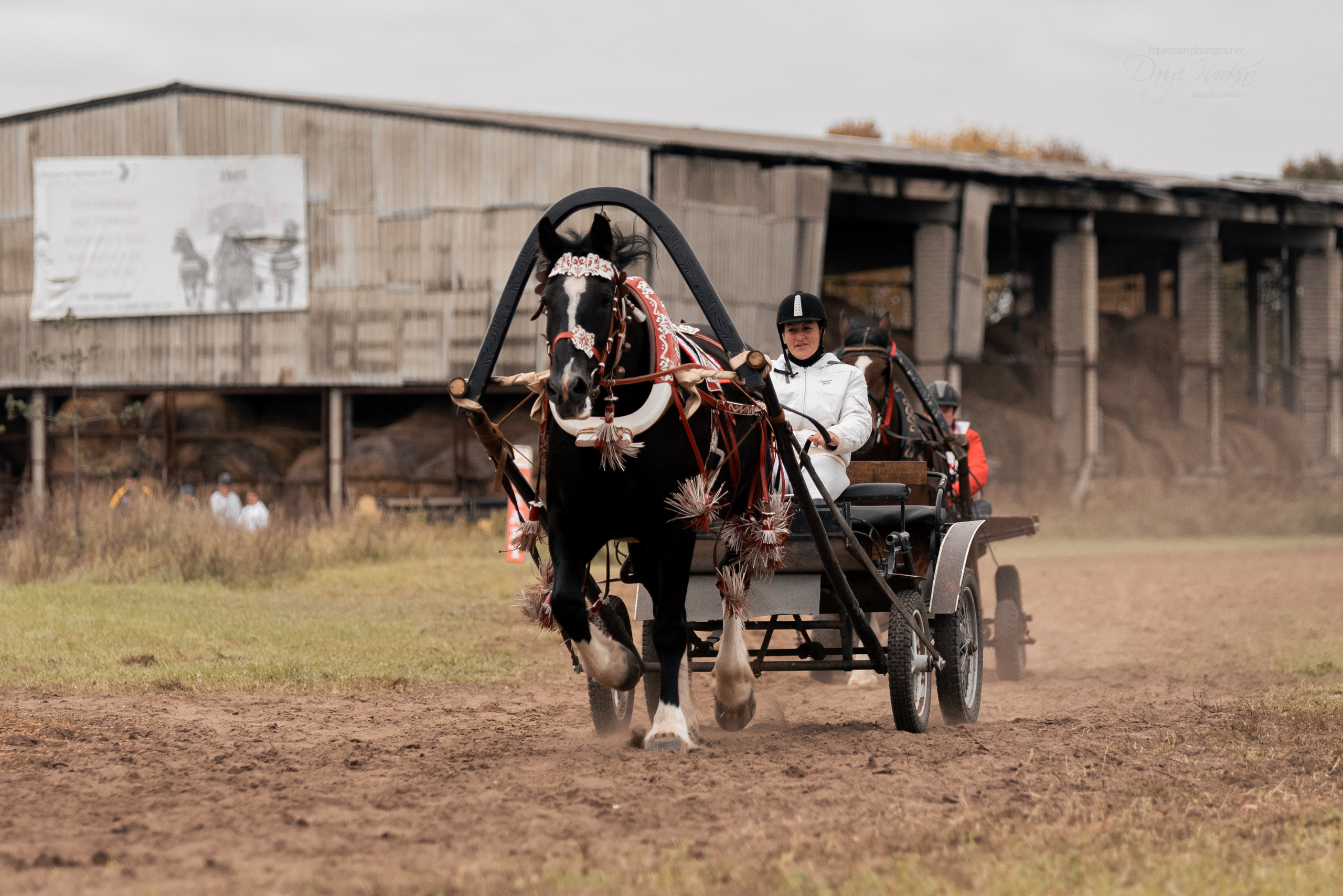 Богдарня. Конный фотограф Куракина Дарья • Фотосессии с лошадьми