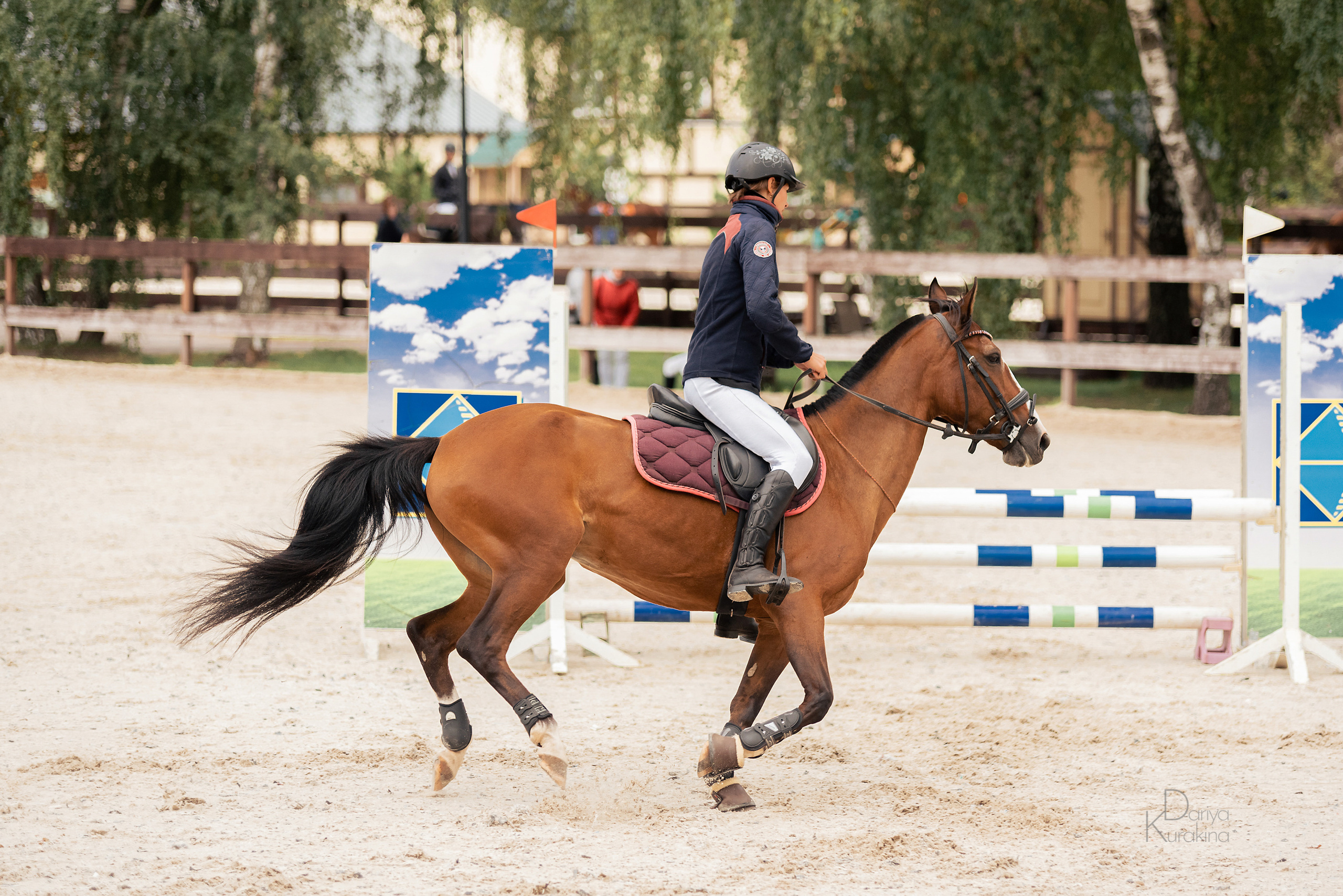 КСК Белая Дача, конкур. Конный фотограф Куракина Дарья • Фотосессии с лошадьми