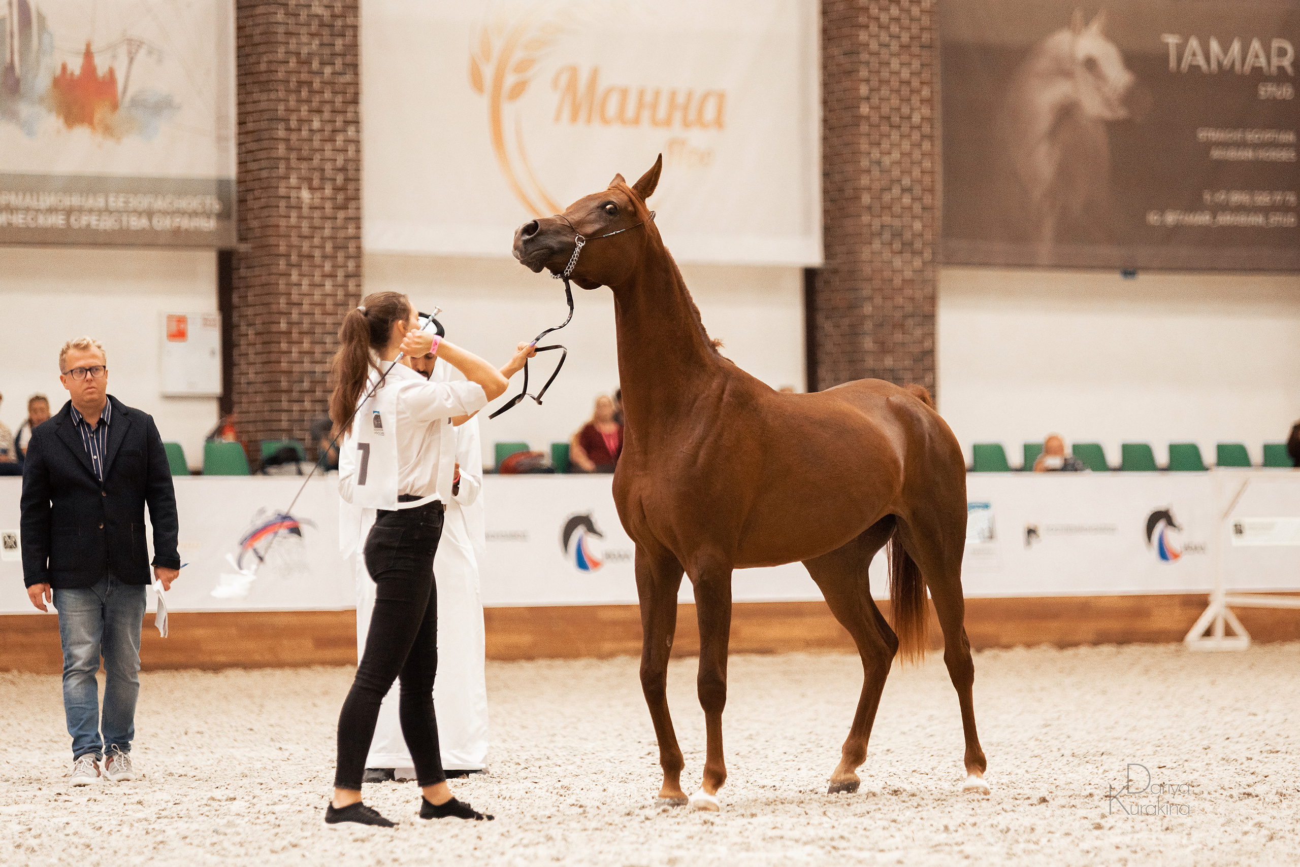 Конная Россия 2021. Конный фотограф Куракина Дарья • Фотосессии с лошадьми