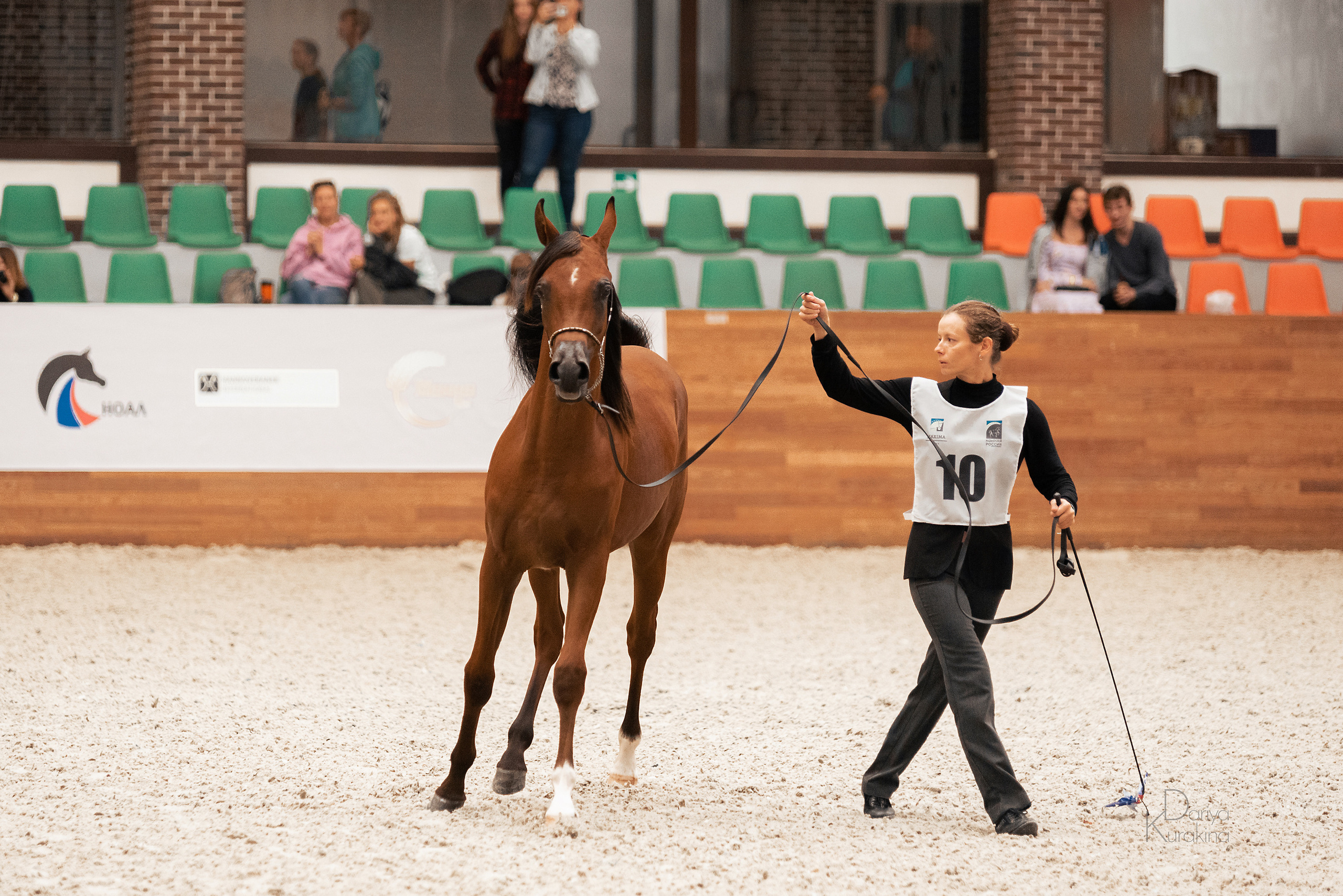 Конная Россия 2021. Конный фотограф Куракина Дарья • Фотосессии с лошадьми