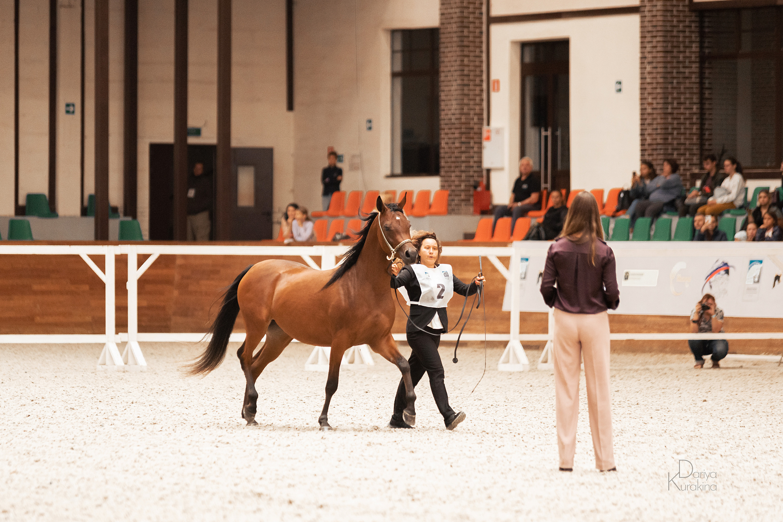 Конная Россия 2021. Конный фотограф Куракина Дарья • Фотосессии с лошадьми