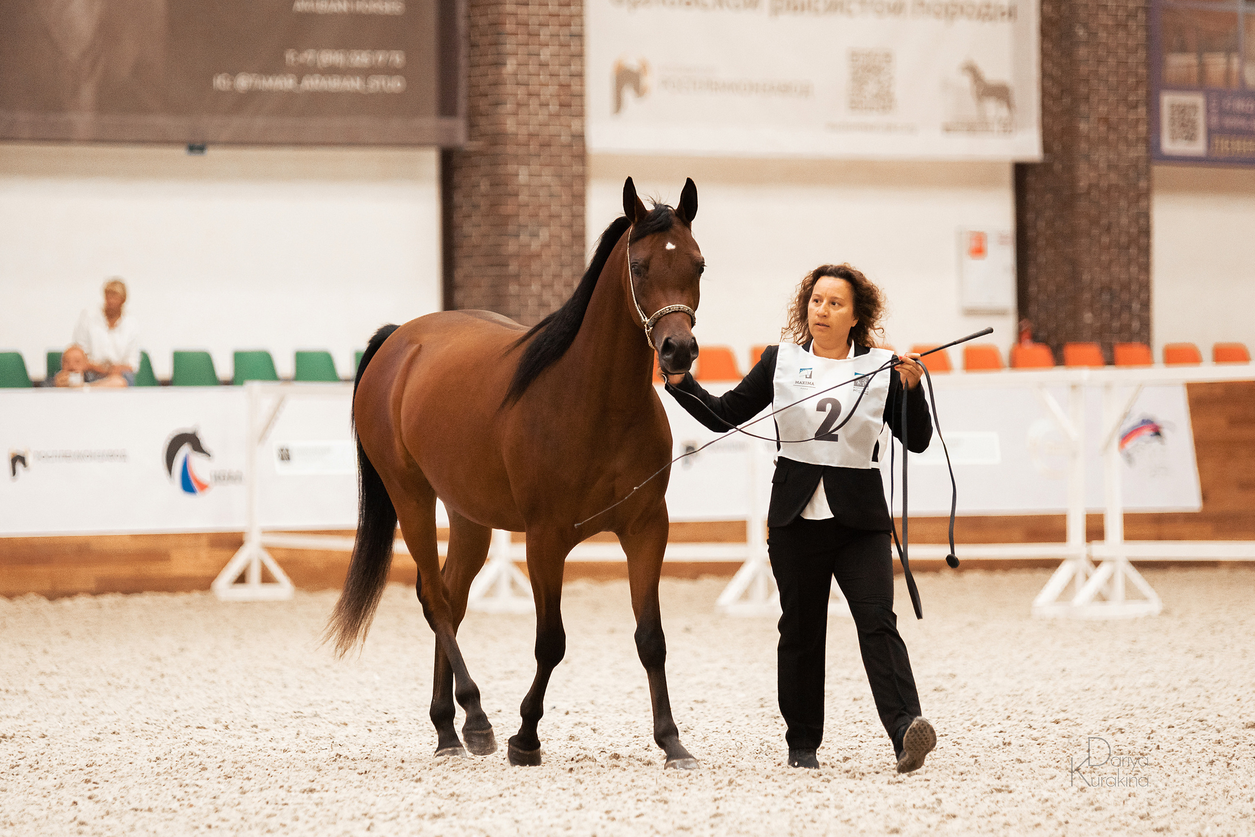 Конная Россия 2021. Конный фотограф Куракина Дарья • Фотосессии с лошадьми