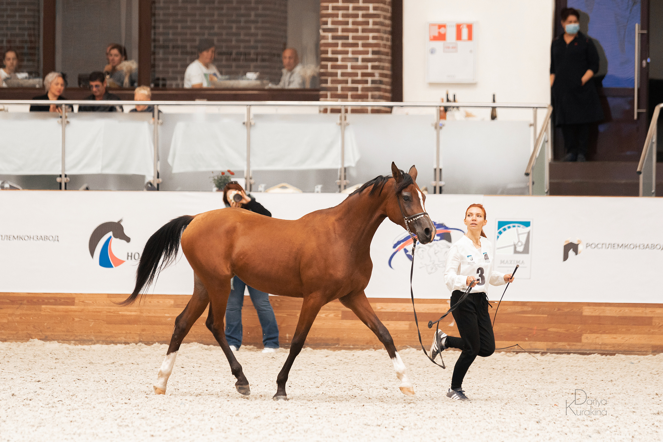 Конная Россия 2021. Конный фотограф Куракина Дарья • Фотосессии с лошадьми