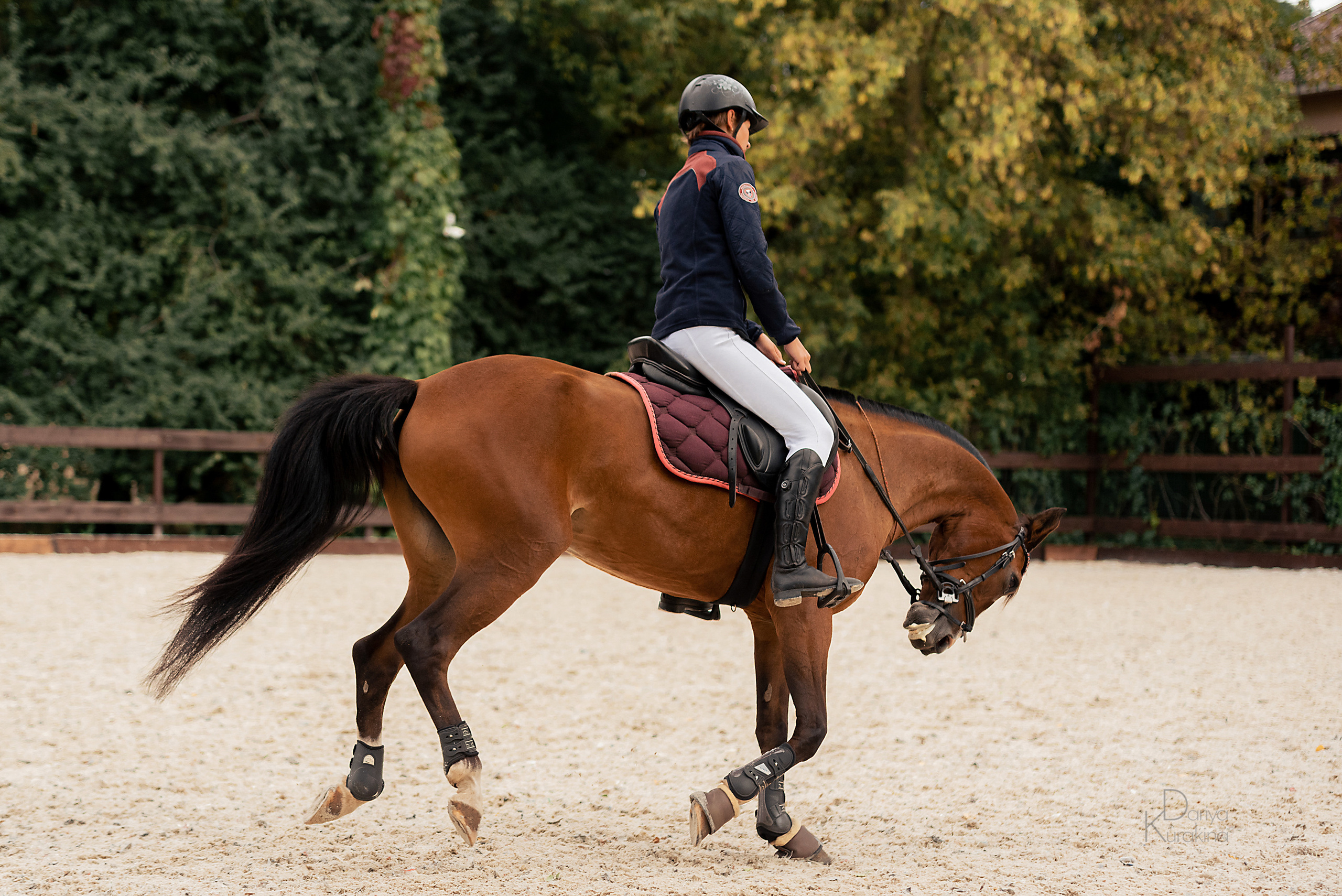 КСК Белая Дача, конкур. Конный фотограф Куракина Дарья • Фотосессии с лошадьми