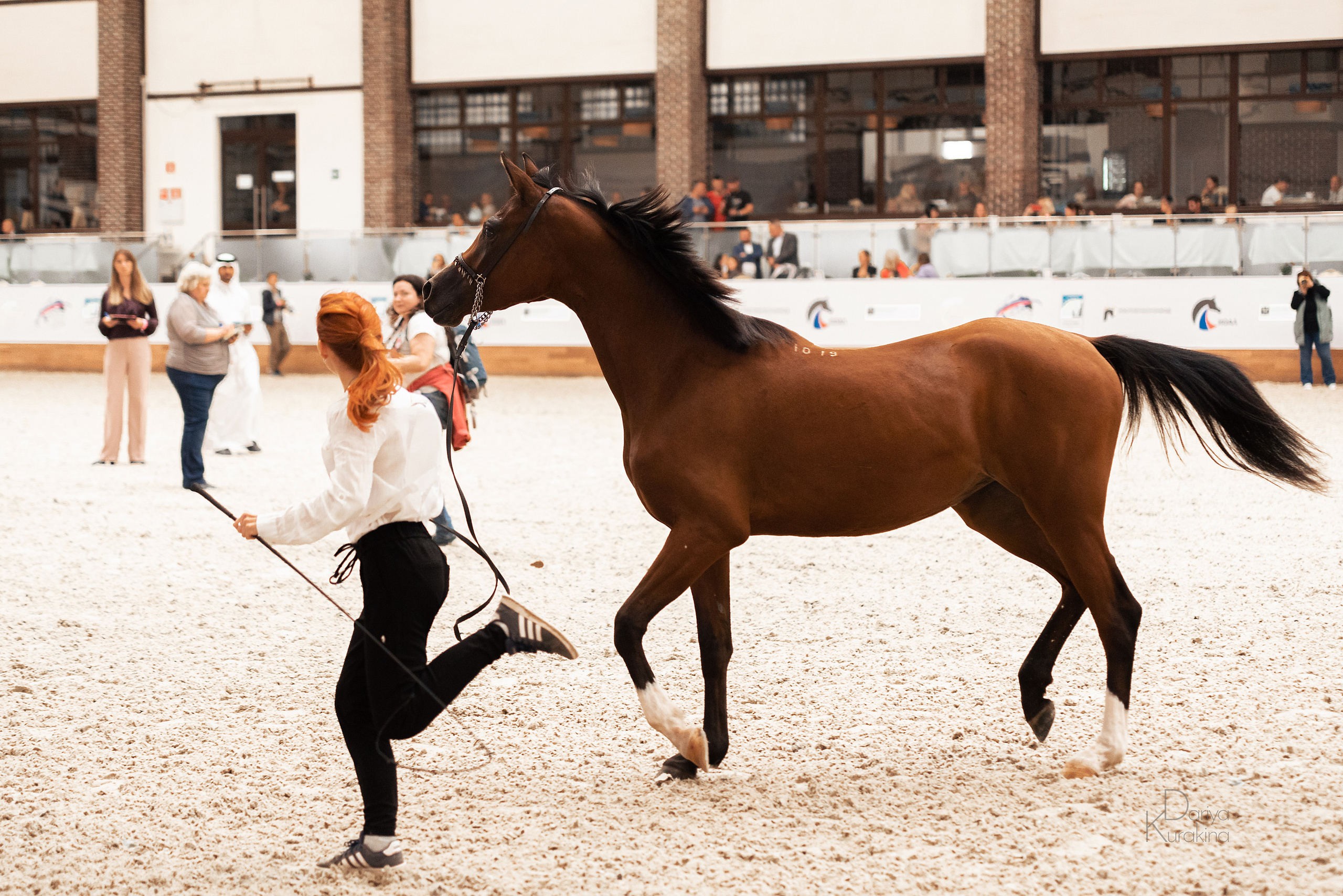 Конная Россия 2021. Конный фотограф Куракина Дарья • Фотосессии с лошадьми