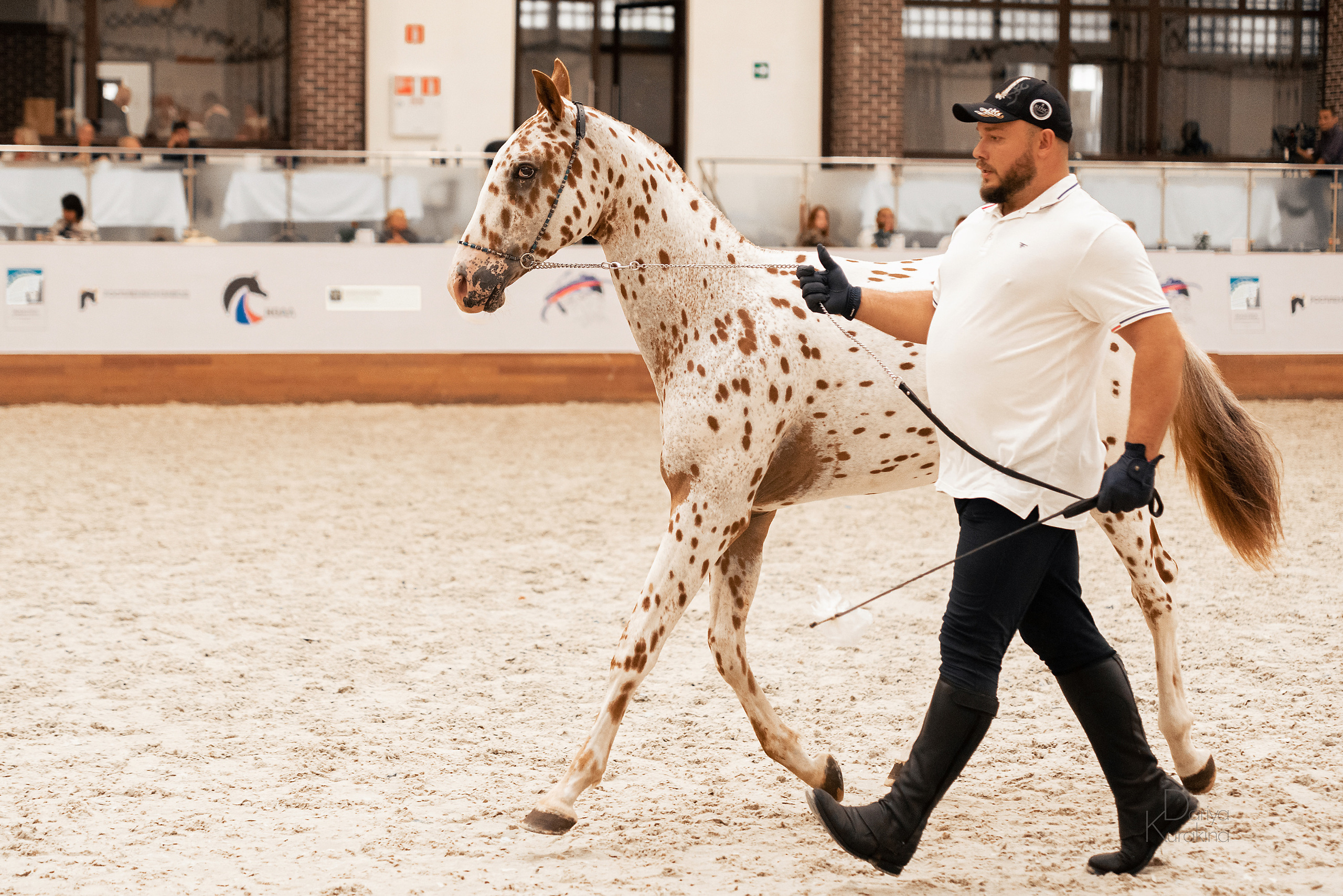 Конная Россия 2021. Конный фотограф Куракина Дарья • Фотосессии с лошадьми